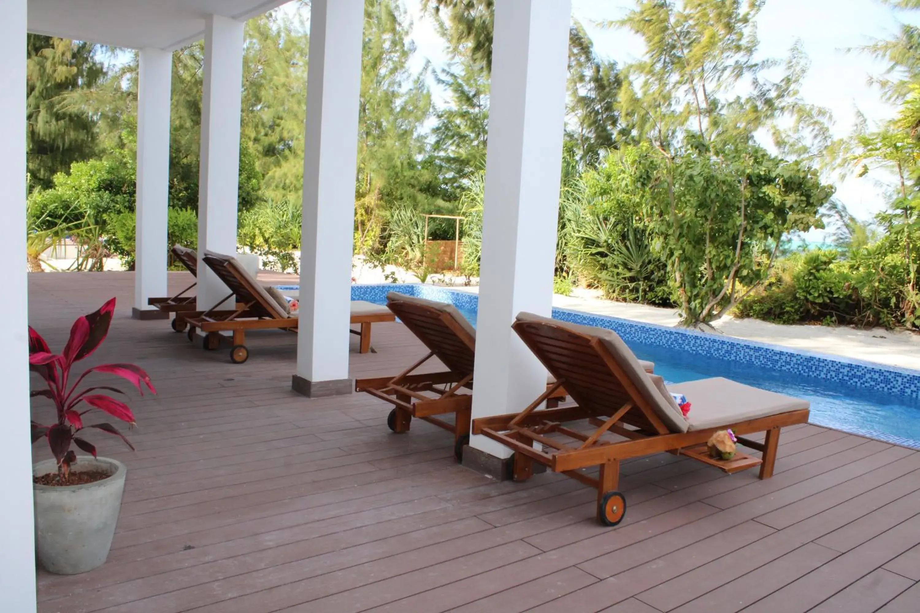 Pool view in Kivuli Beach Resort Paje Pool view in Kivuli Beach Resort Paje