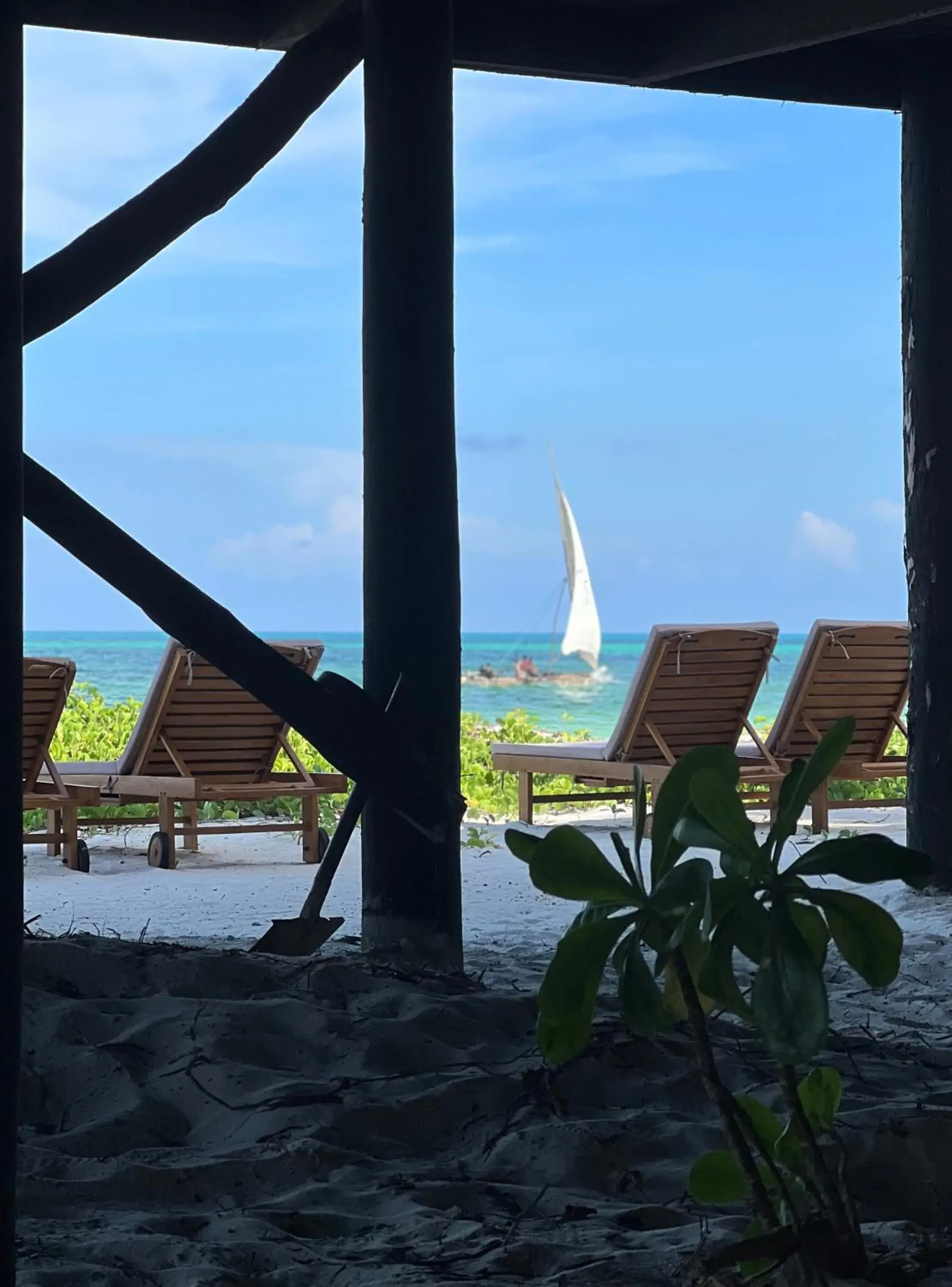 Sea view in Kivuli Beach Resort Paje Sea view in Kivuli Beach Resort Paje