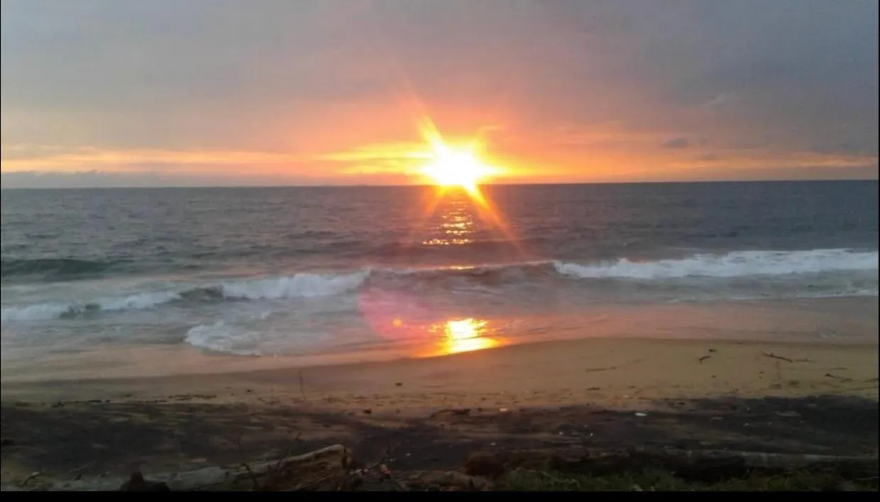 Natural landscape in Reef Bungalow Hotel