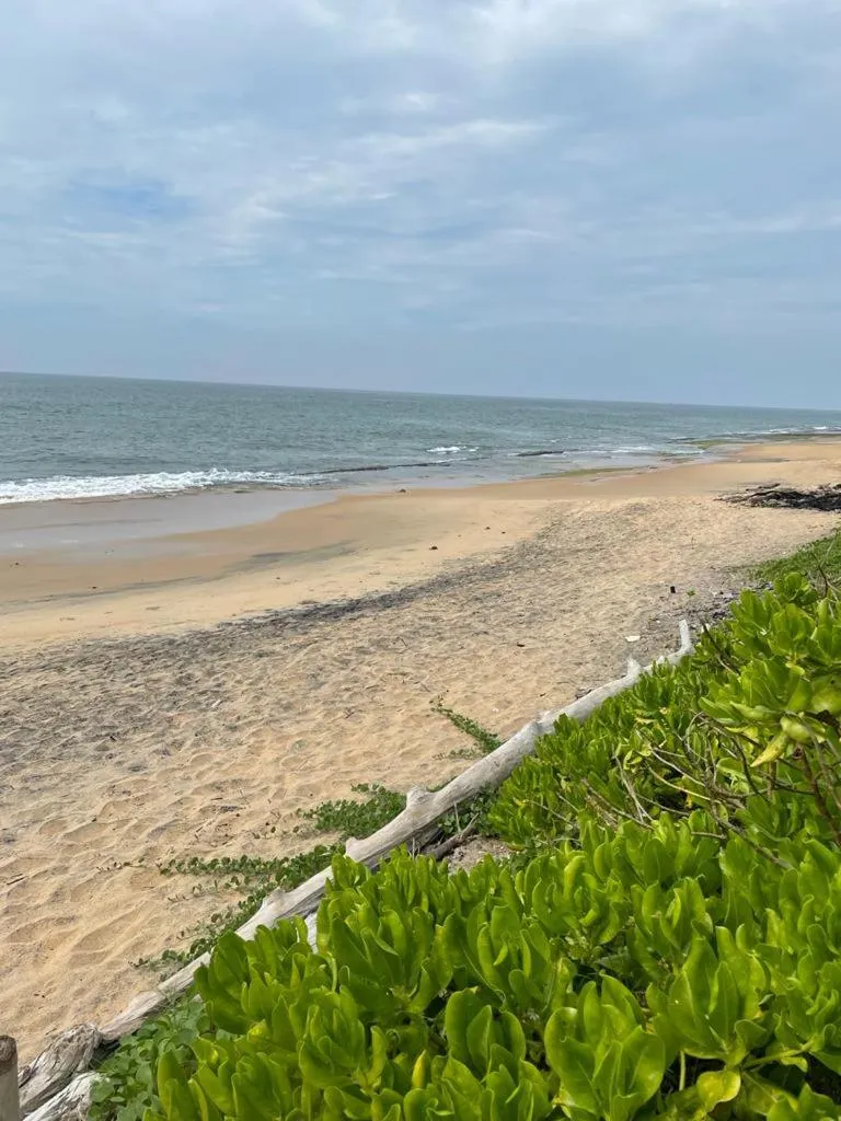 Beach in Reef Bungalow Hotel