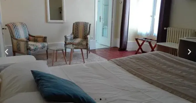 Double Room in Le Grand Monarque Donzy Double Room in Le Grand Monarque Donzy