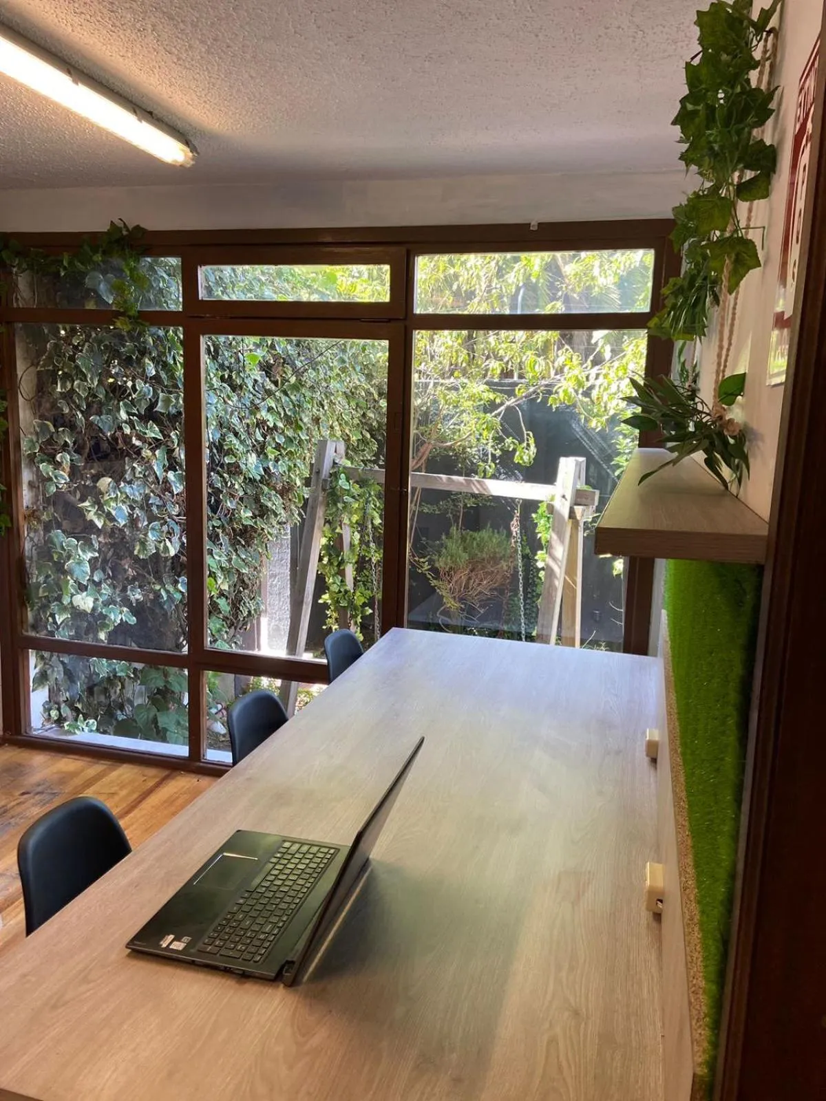 Garden in Blue house La Floresta