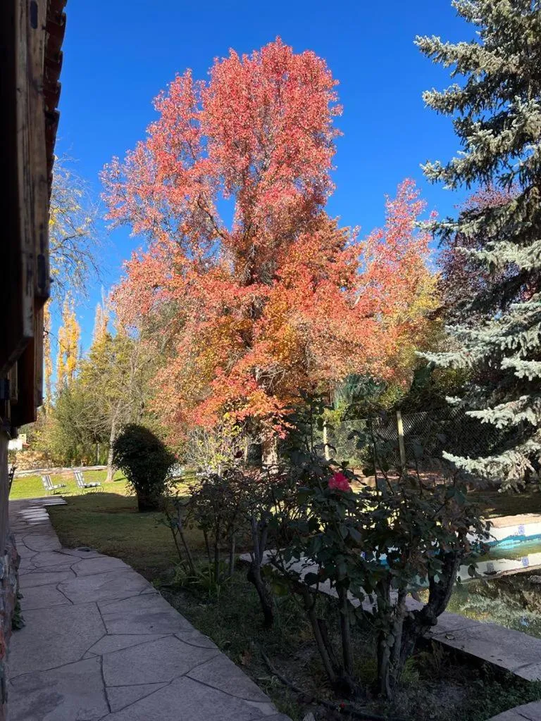 Garden in Terra Campo Posada