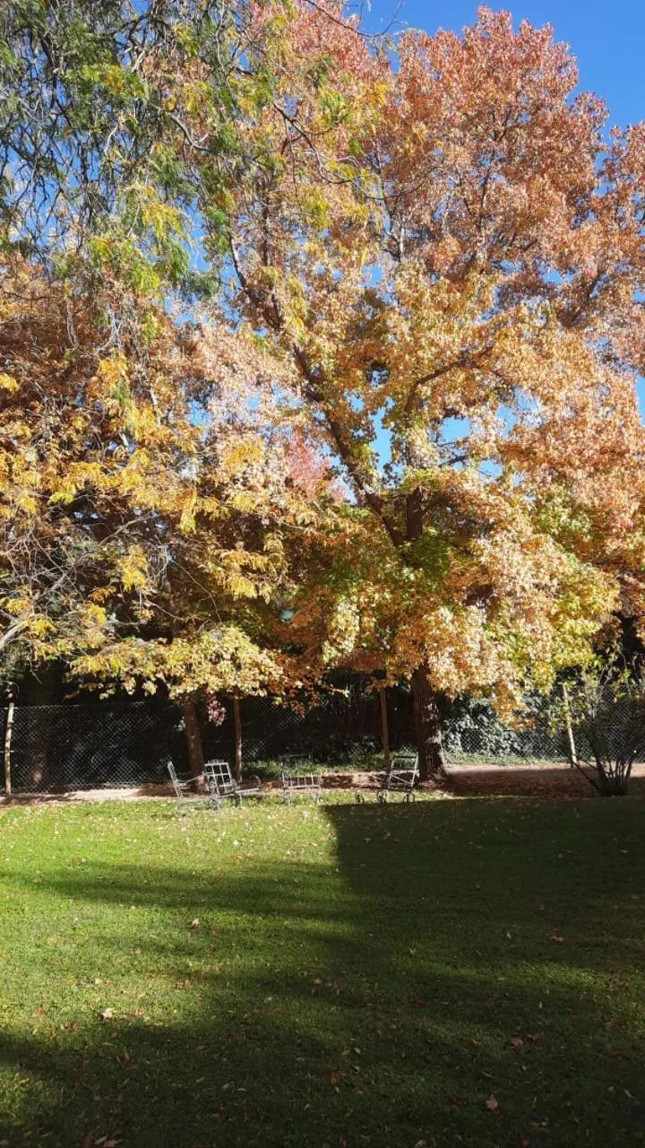 Garden in Terra Campo Posada