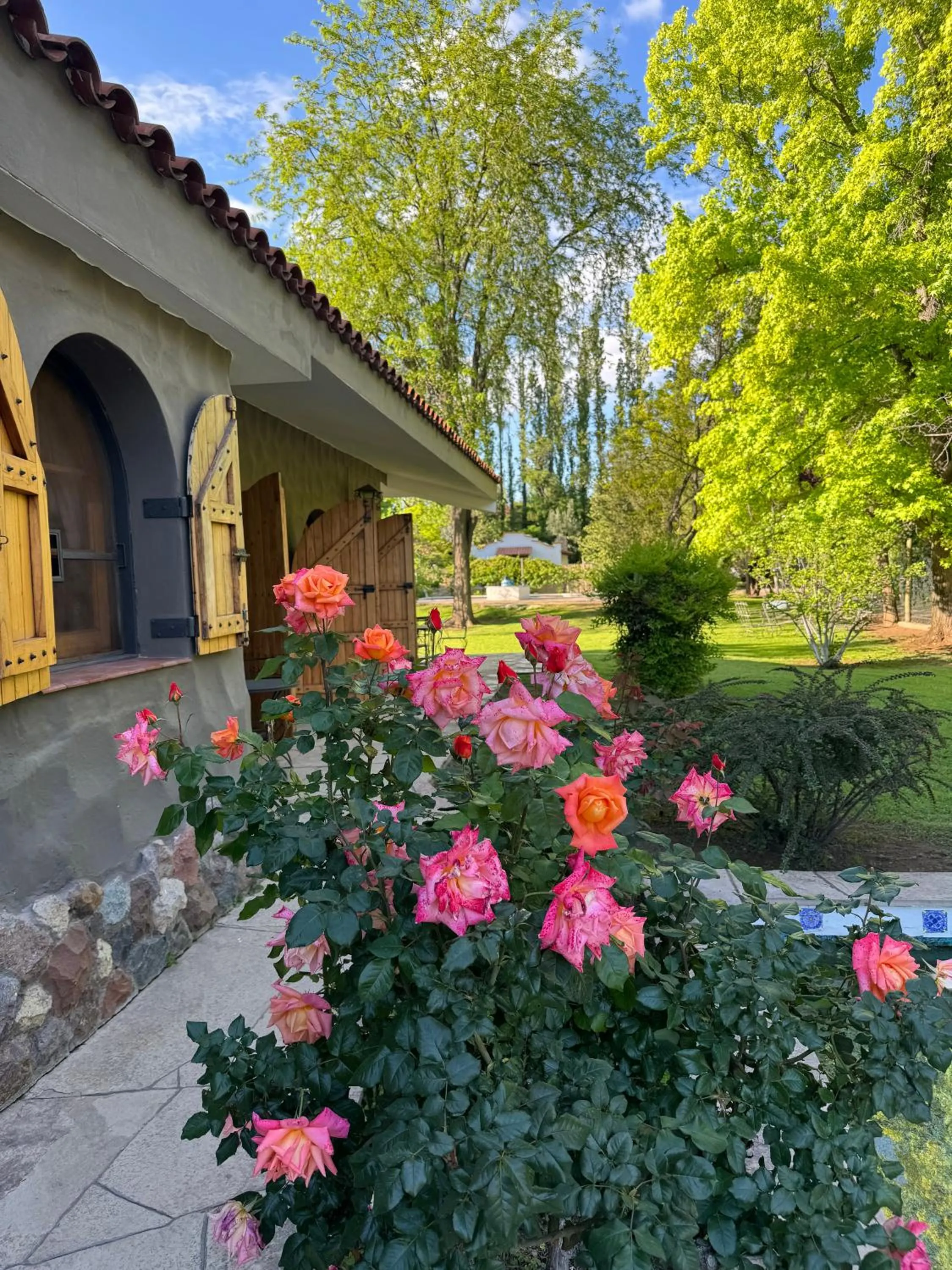 Garden in Terra Campo Posada