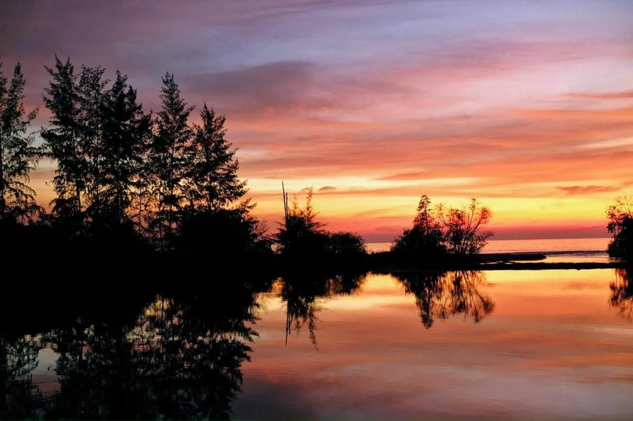 View (from property/room) in Eco Lagoon