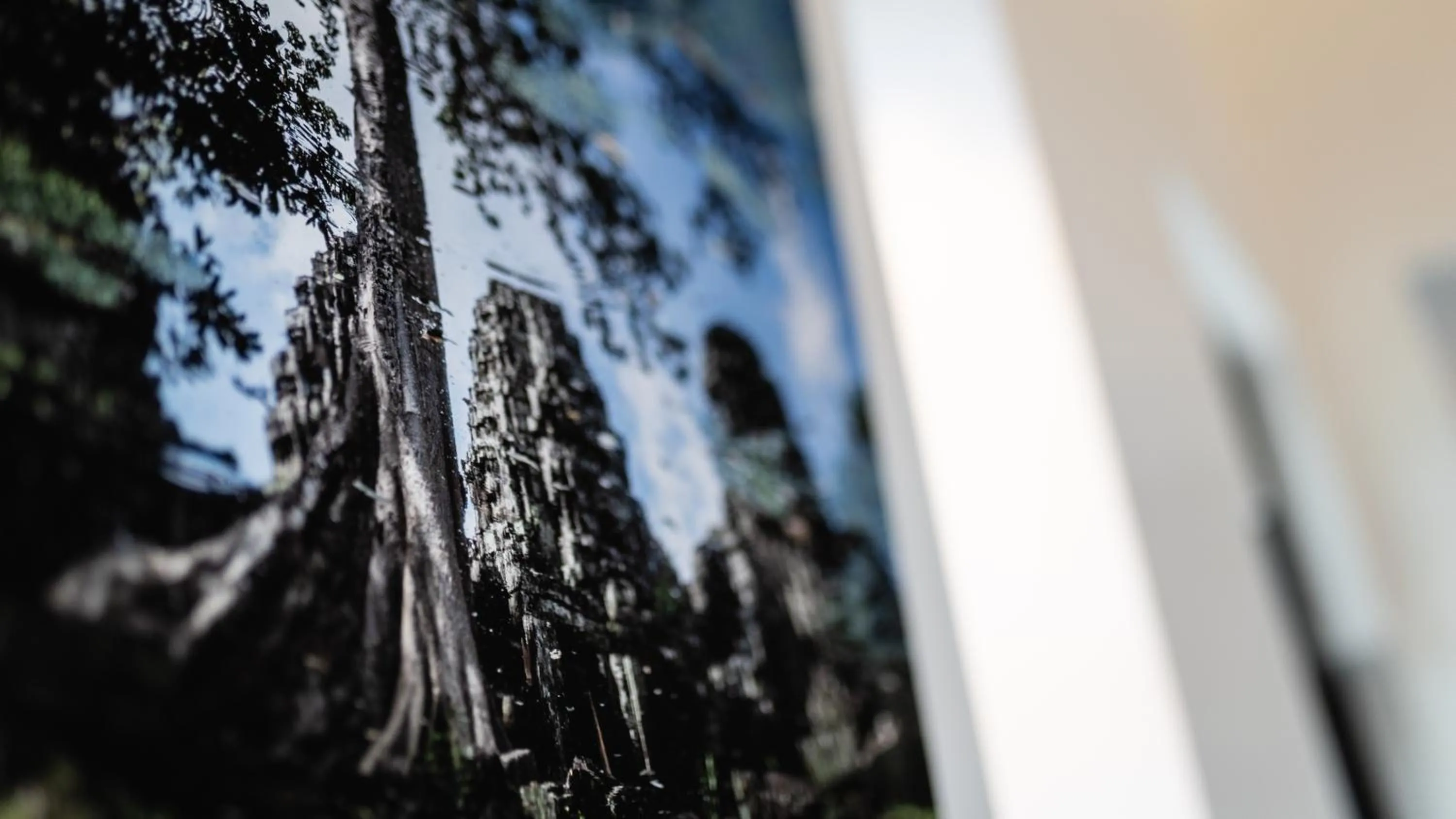 Natural landscape in Reservoir, Yoga & Wellness Retreat