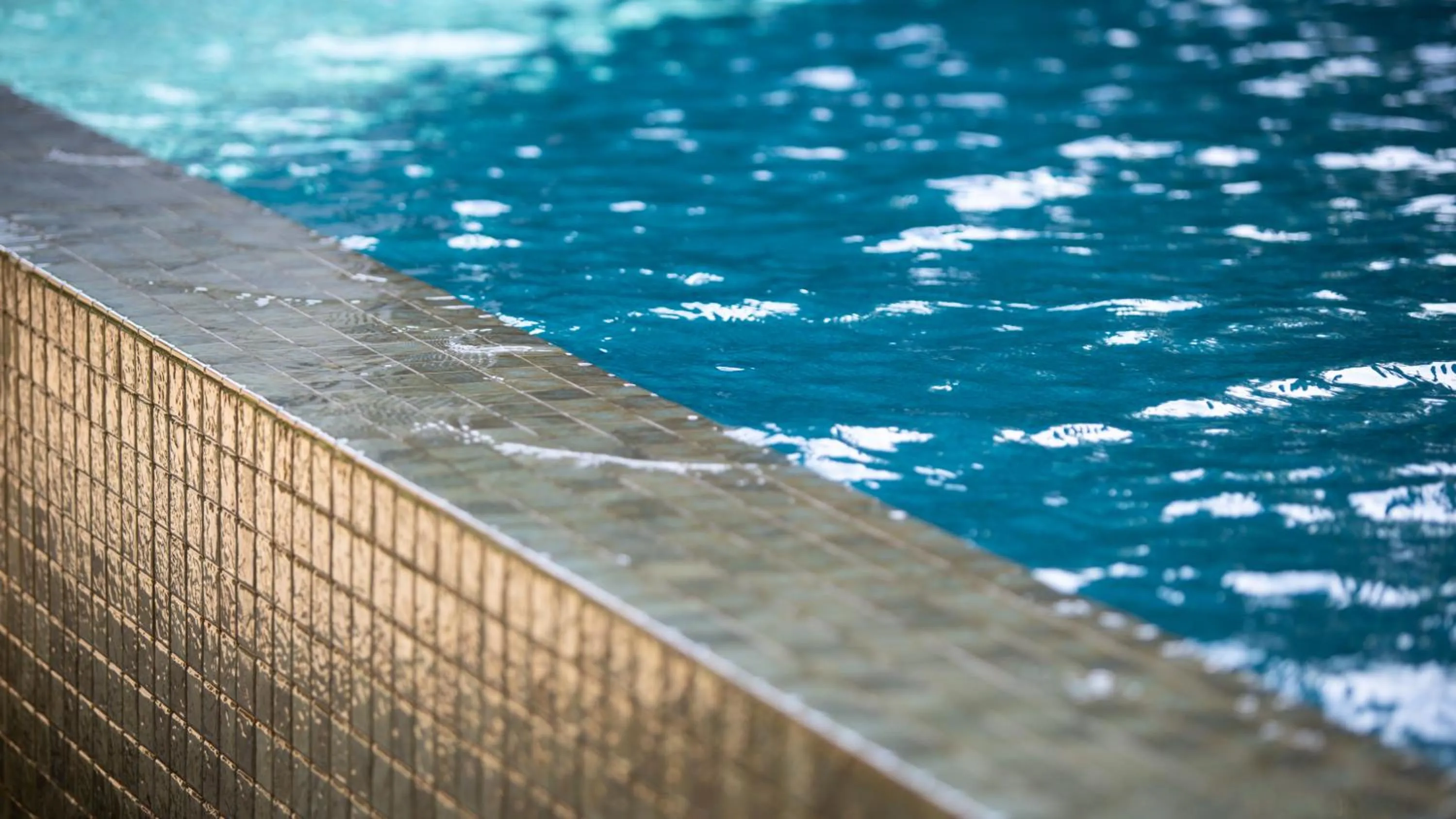 Swimming pool in Reservoir, Yoga & Wellness Retreat