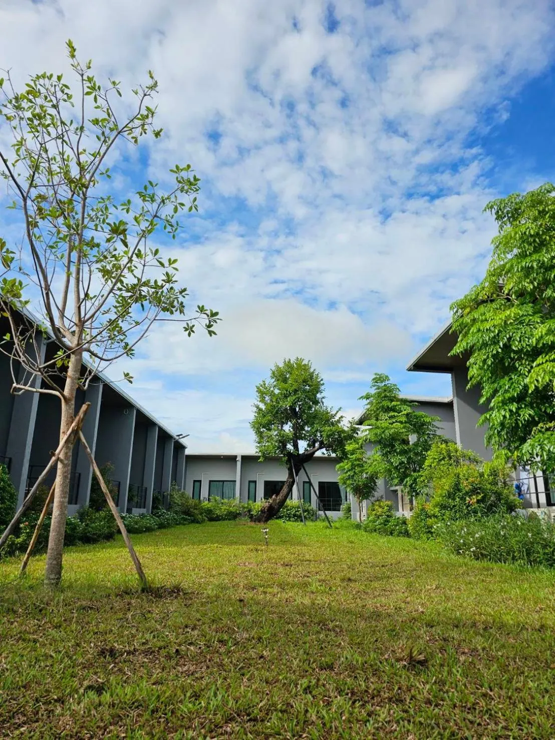 Garden in Destino Hotel Surin