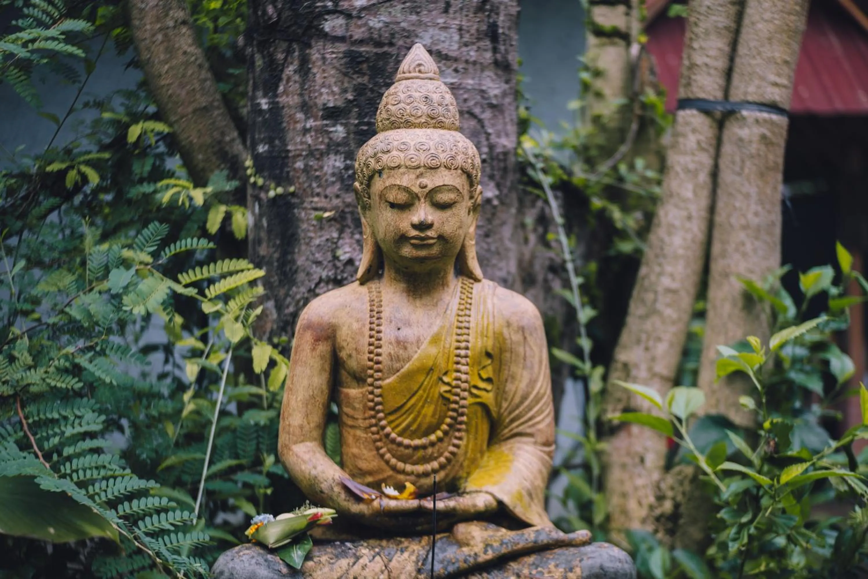 Natural landscape in Nawa Sakti Ubud Suite