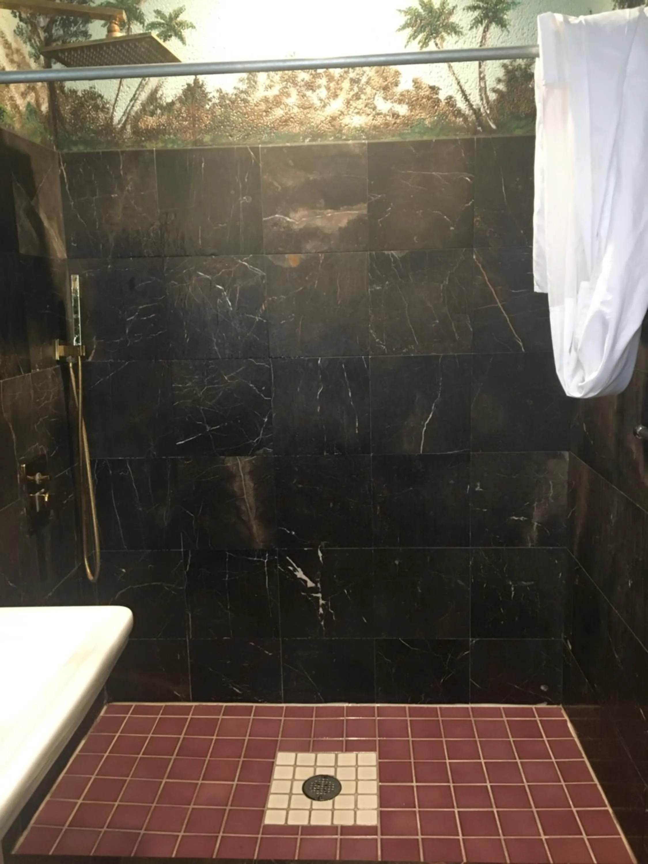 Shower in Desert Moon Motel