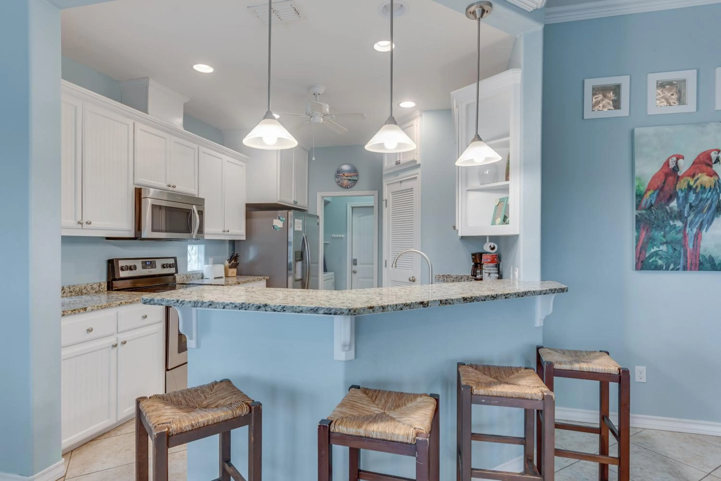 Property building in Sandy Cheeks