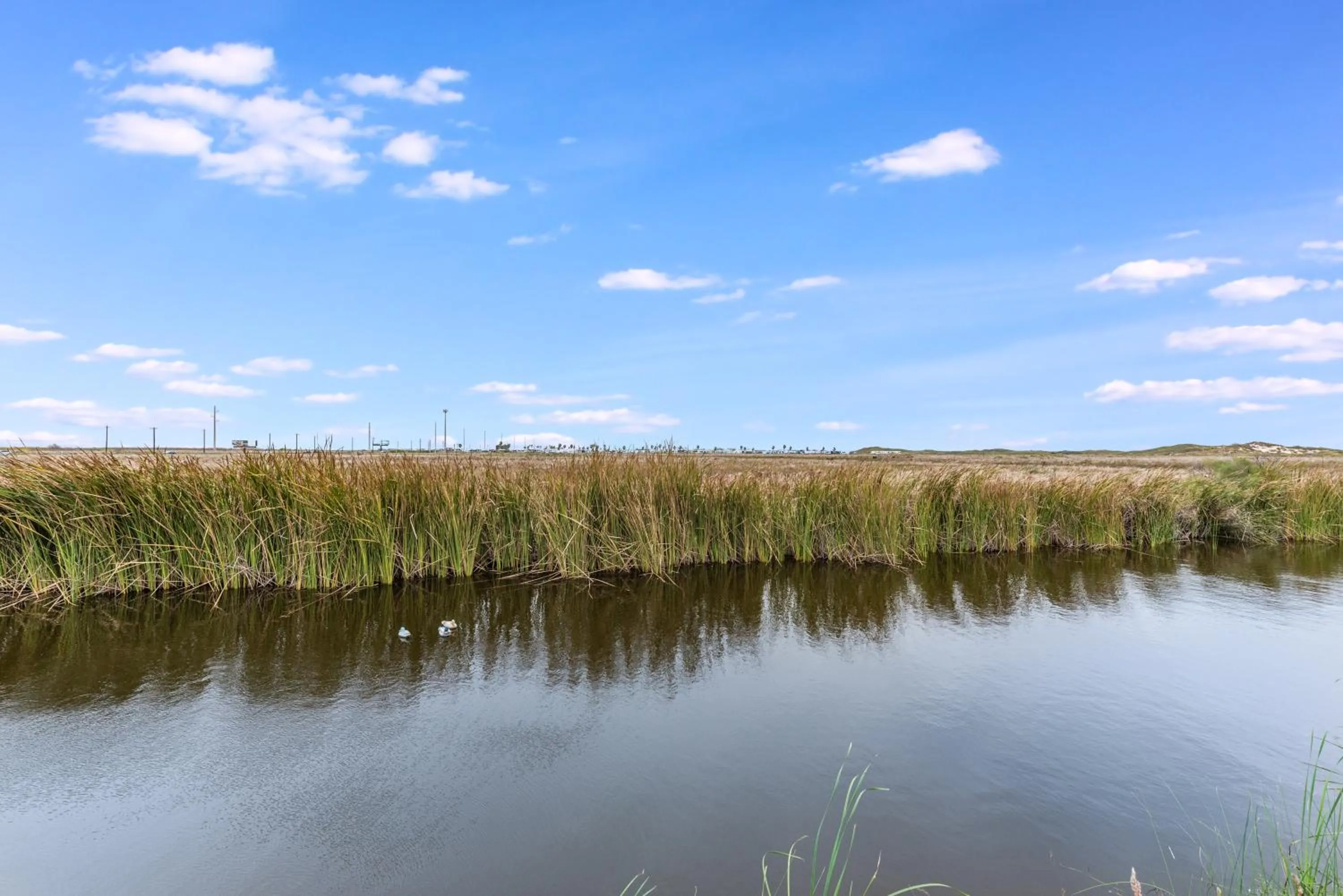 Property building in Sandy Cheeks
