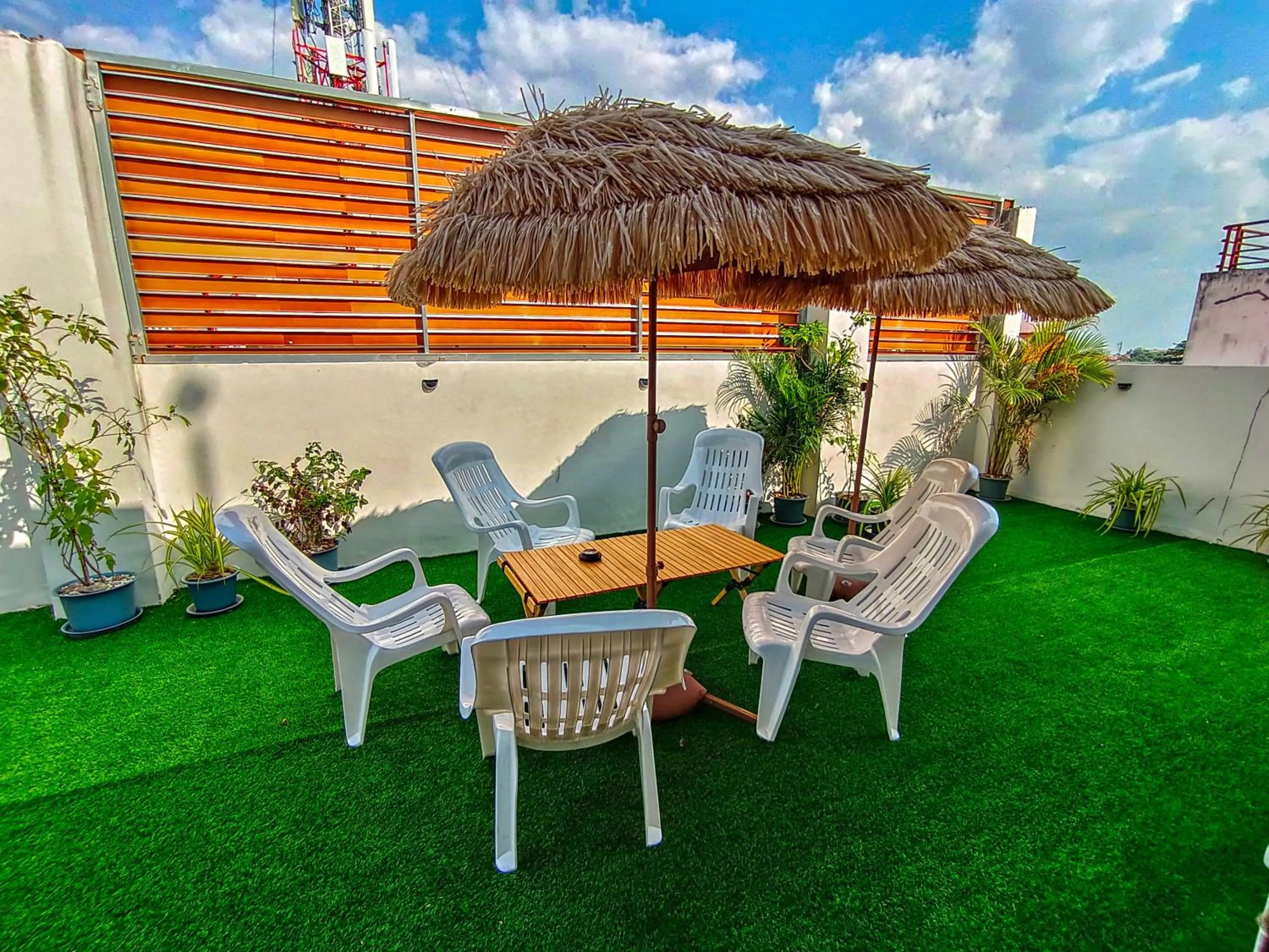 Garden in Sailor Hotel Pattaya