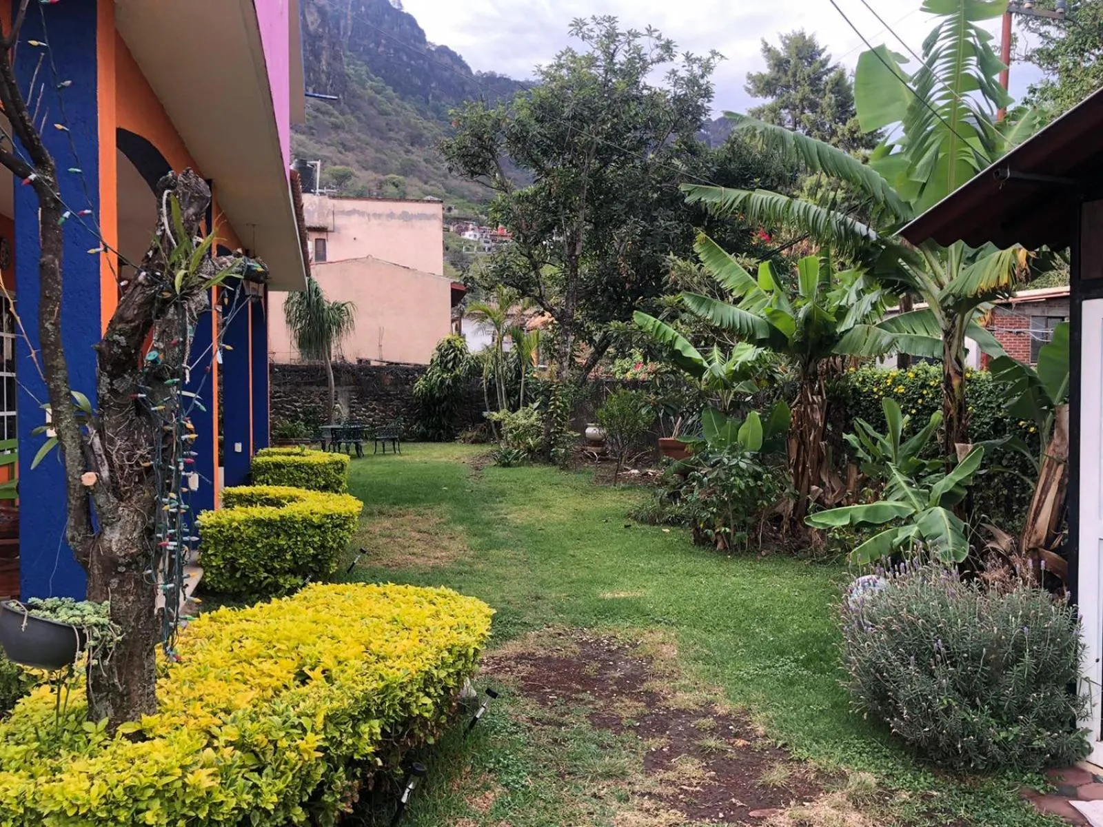 Natural landscape in Los Robles