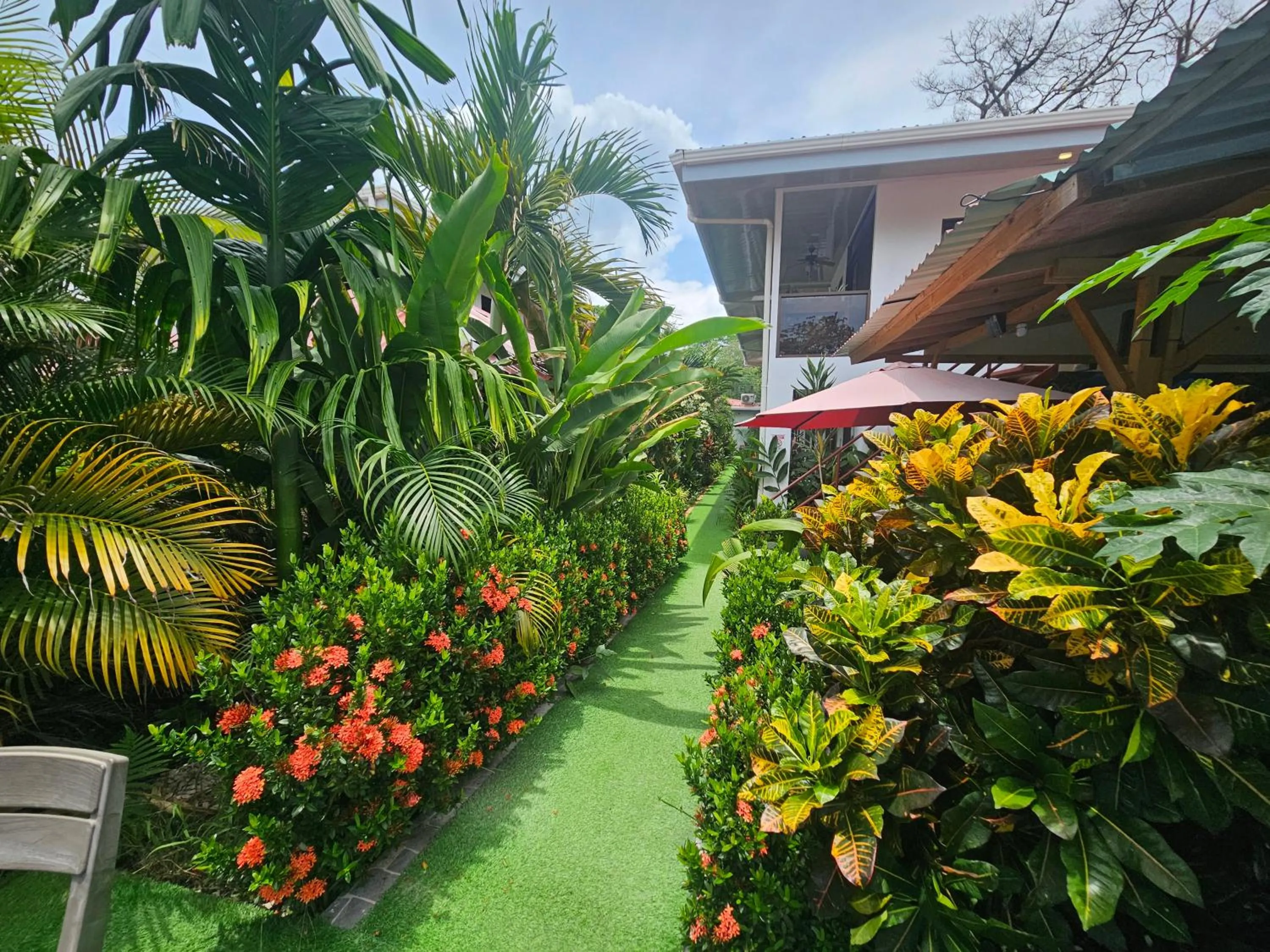 Spring in Ballena Rey Hotel