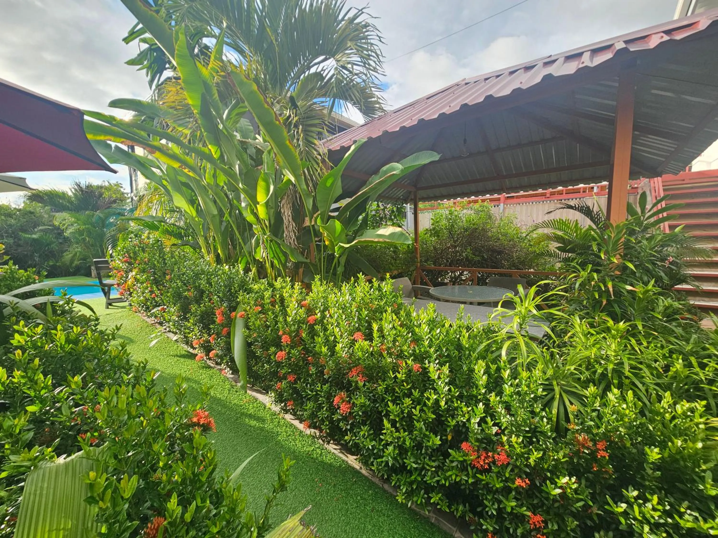 Restaurant/places to eat in Ballena Rey Hotel