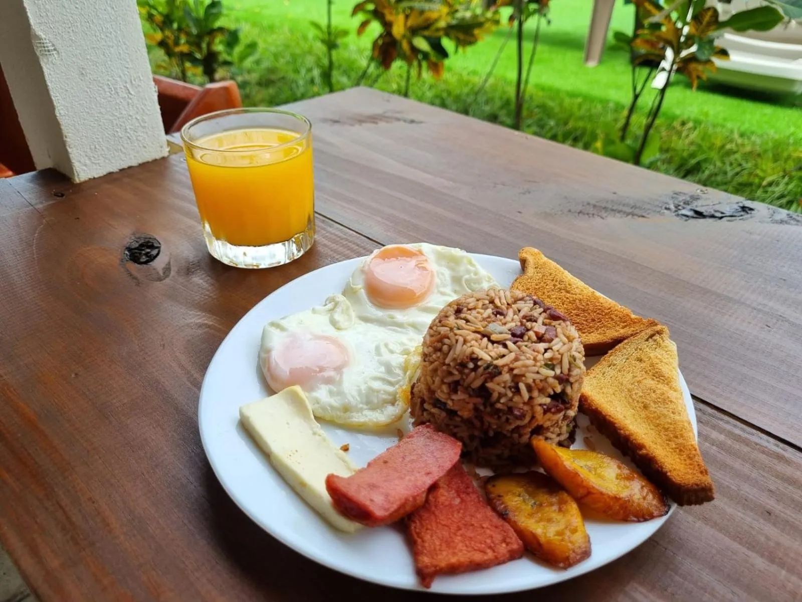 Food and drinks in Ballena Rey Hotel