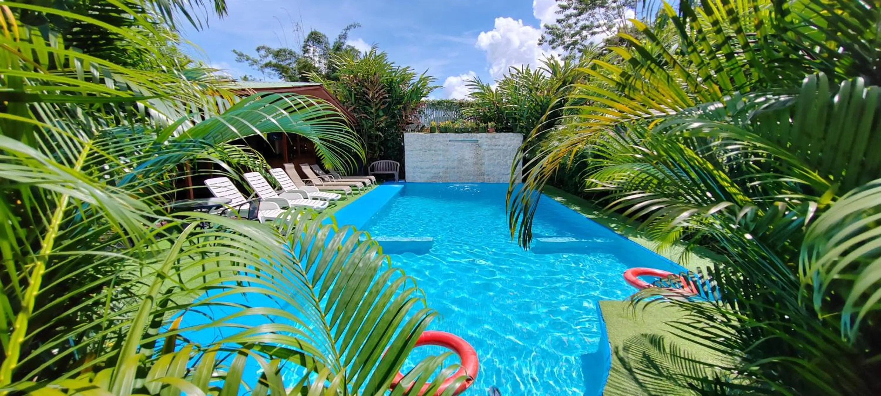 Spring in Ballena Rey Hotel