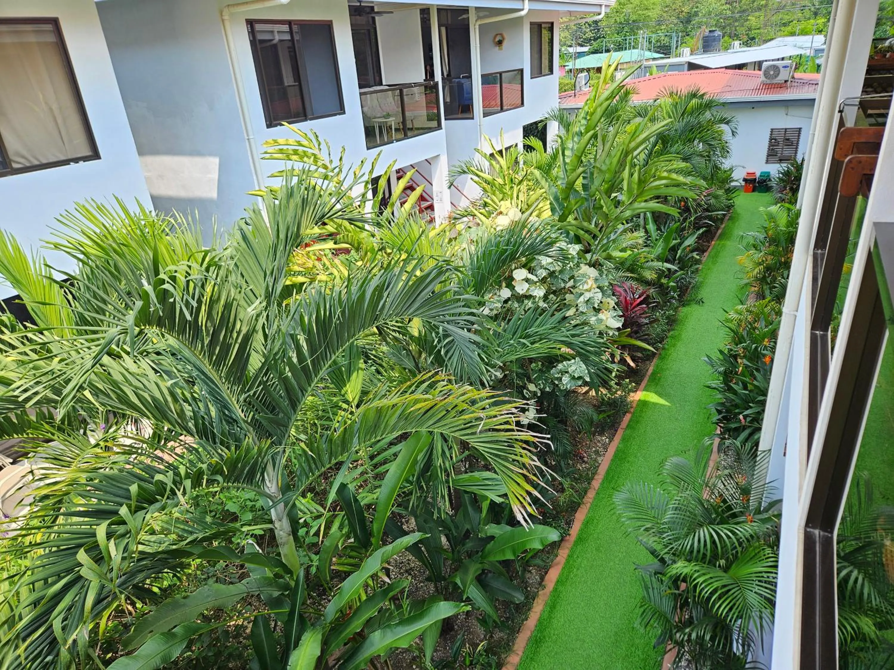 Patio in Ballena Rey Hotel