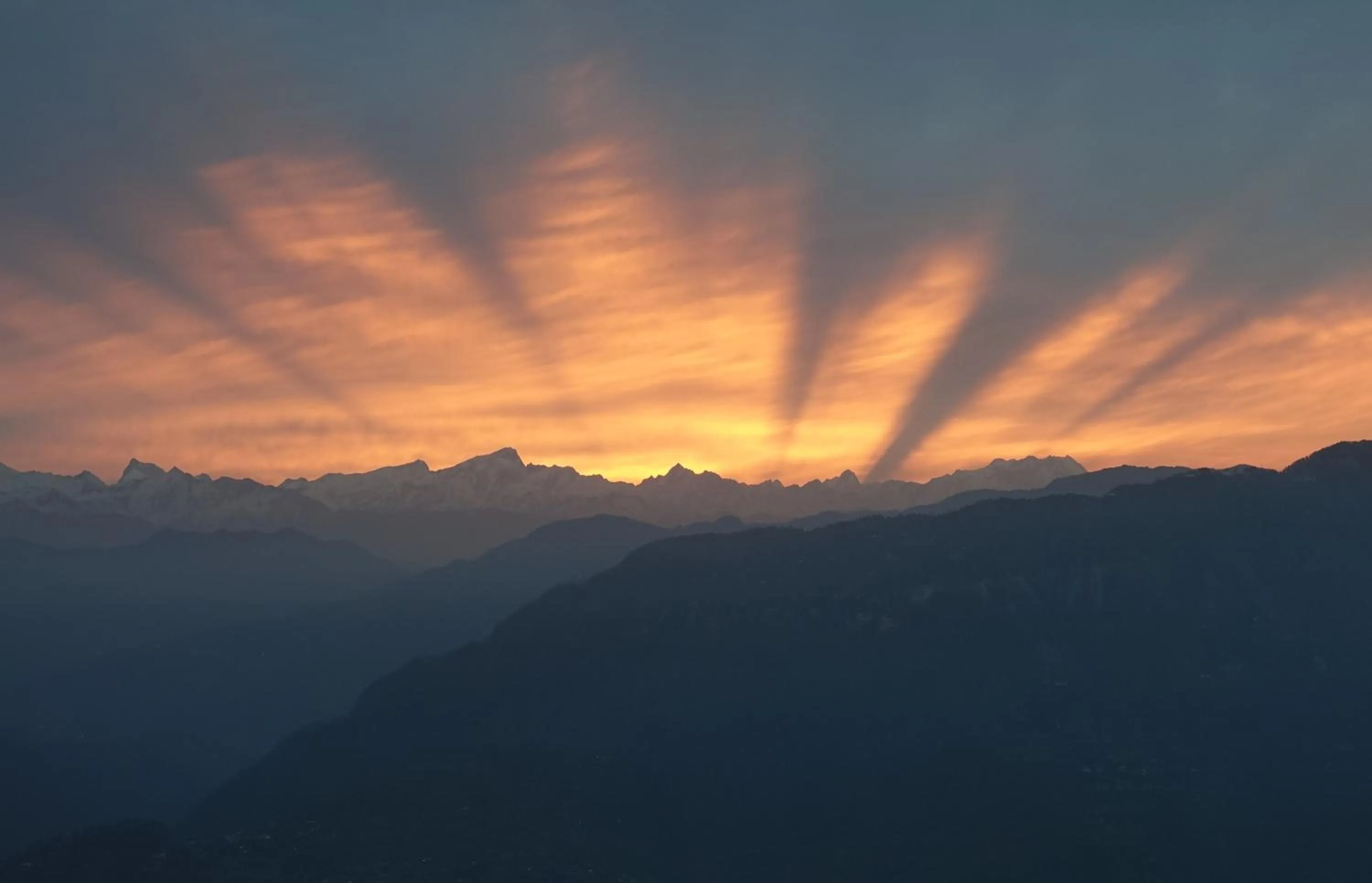 Garden view in The Rudraksh, A Himalayan Retreat