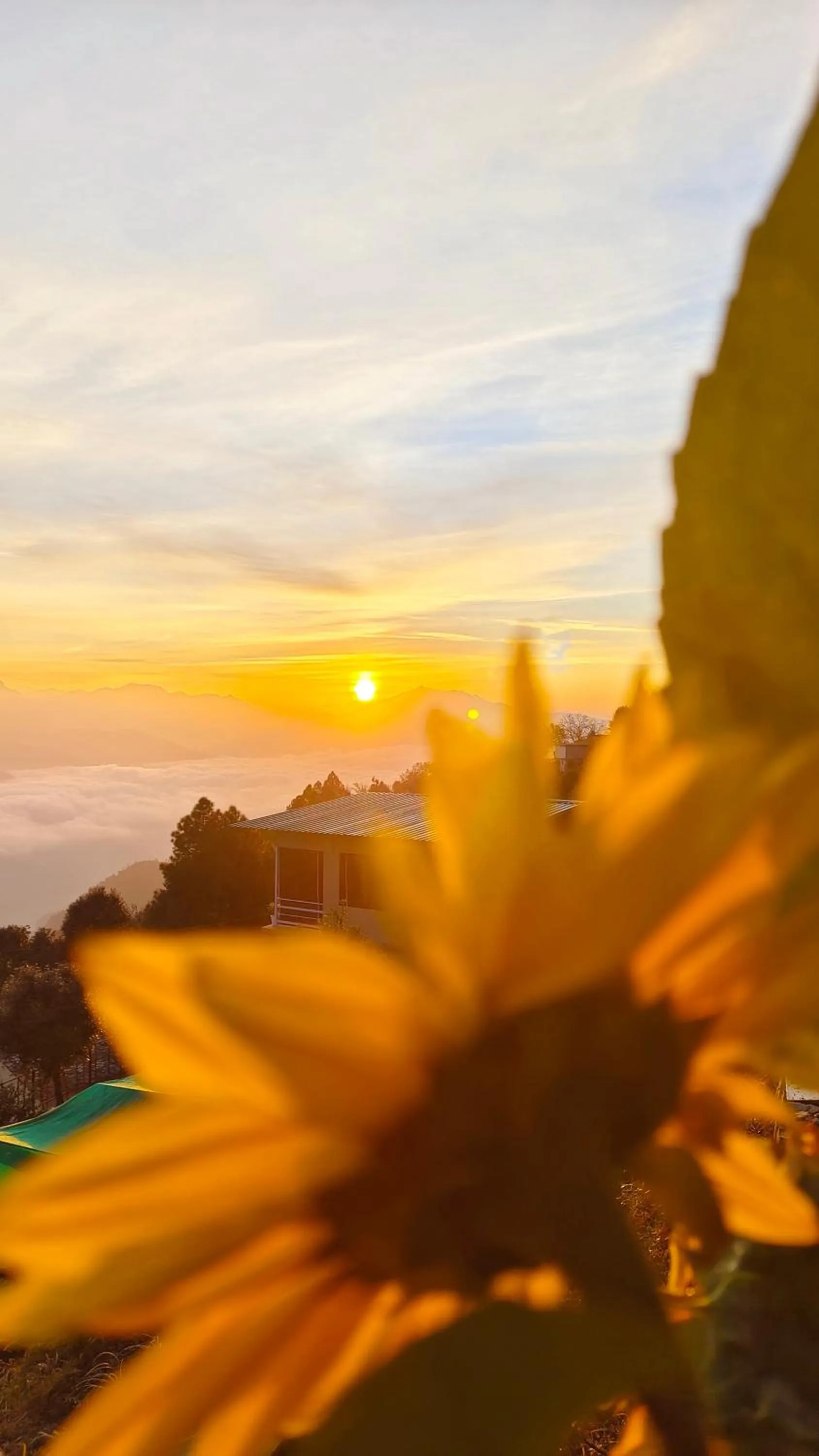 Natural landscape in The Rudraksh, A Himalayan Retreat