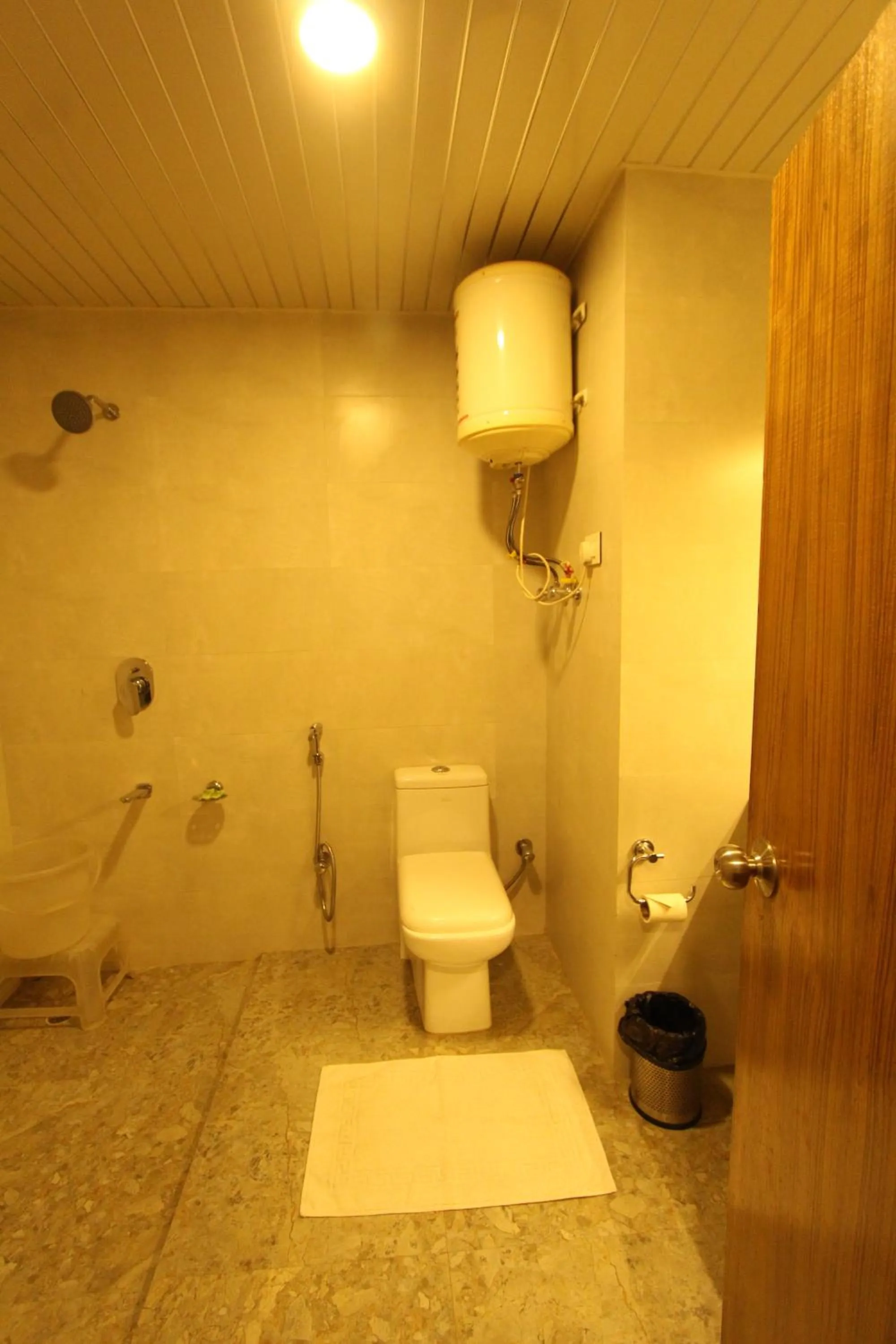Shower in Hotel NSB Manali
