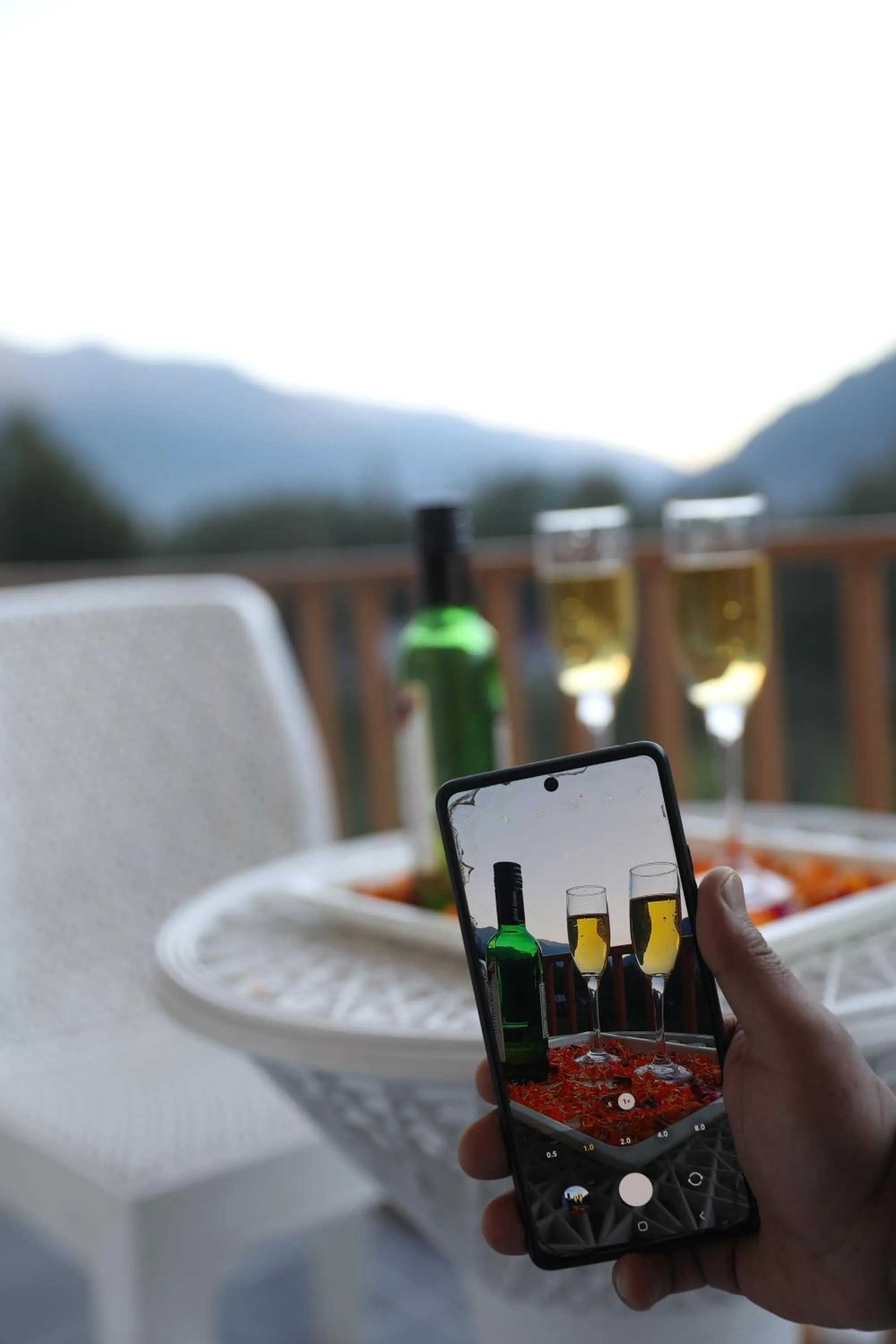 Balcony/Terrace in Hotel NSB Manali