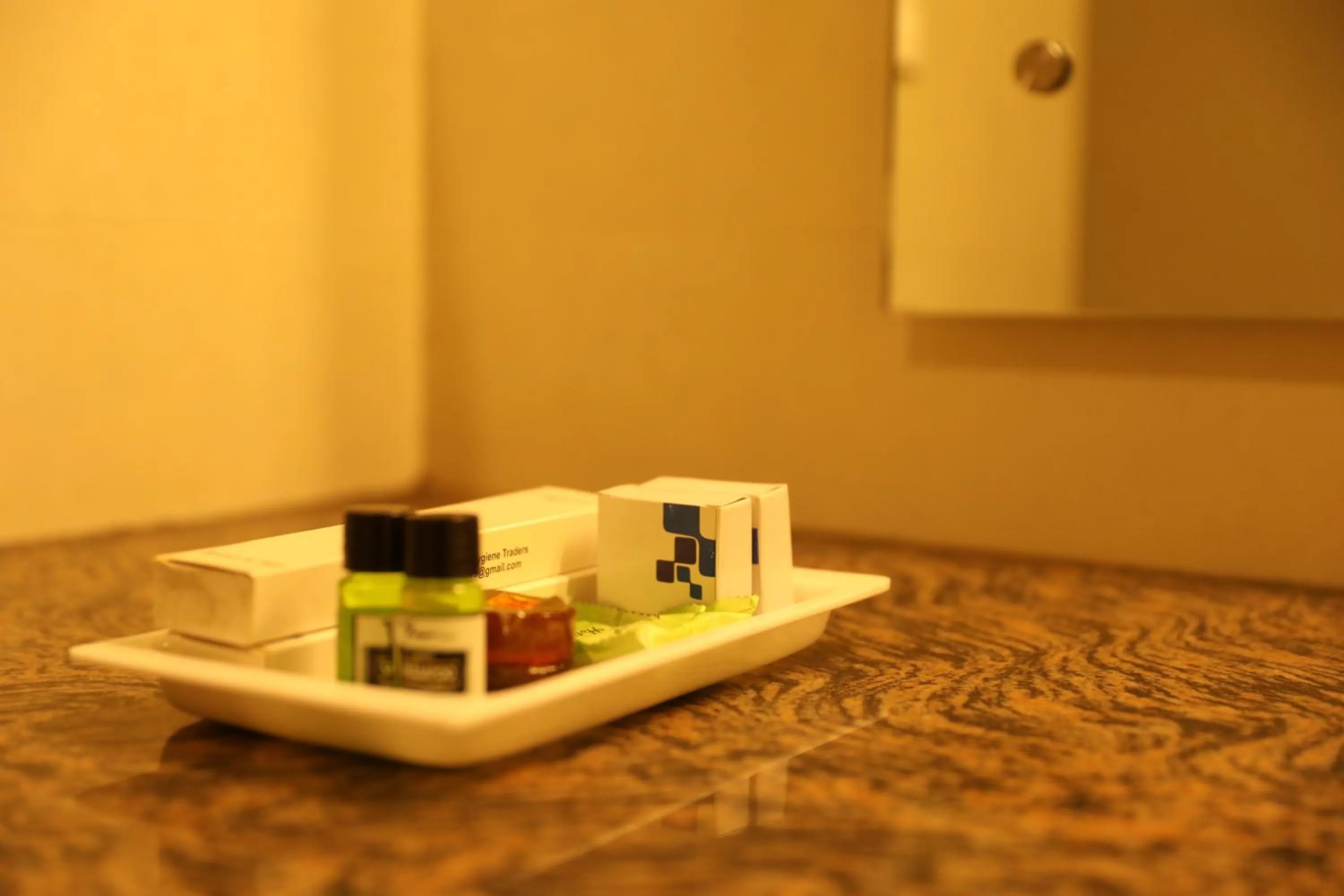 Bathroom in Hotel NSB Manali