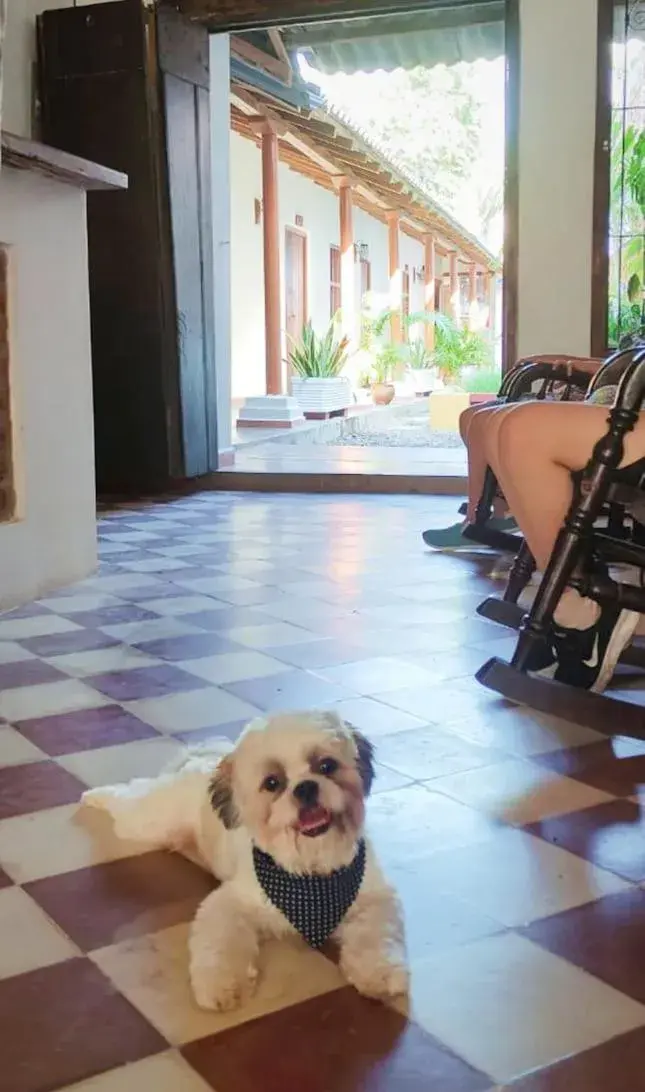 Living room in Albarrada Hotel Boutique Living room in Albarrada Hotel Boutique