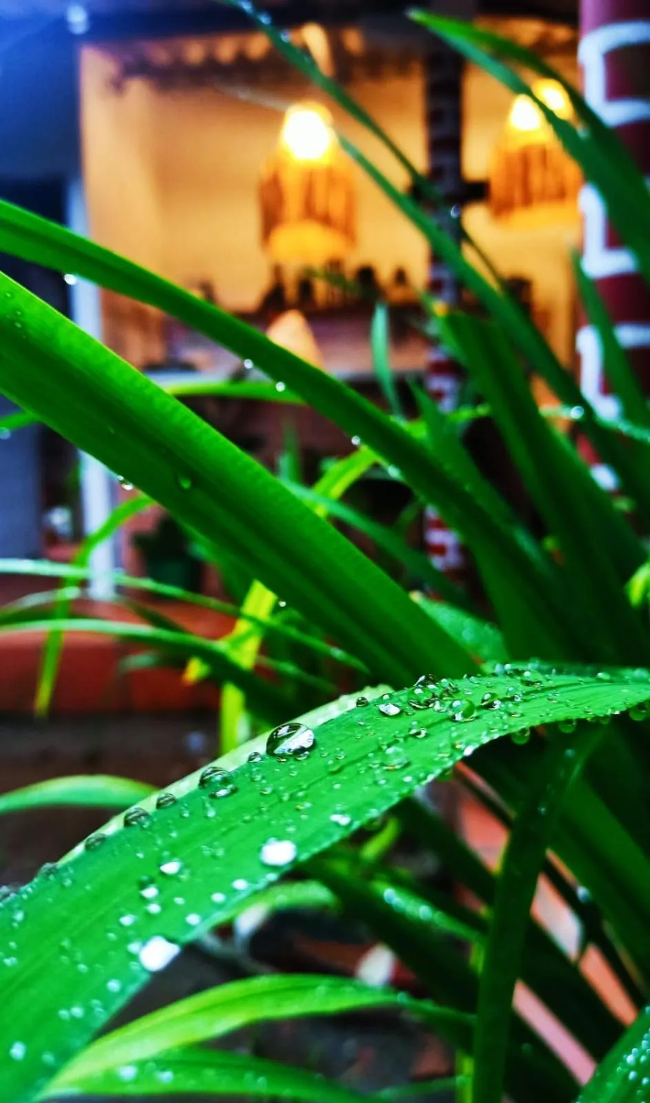 Natural landscape in Albarrada Hotel Boutique