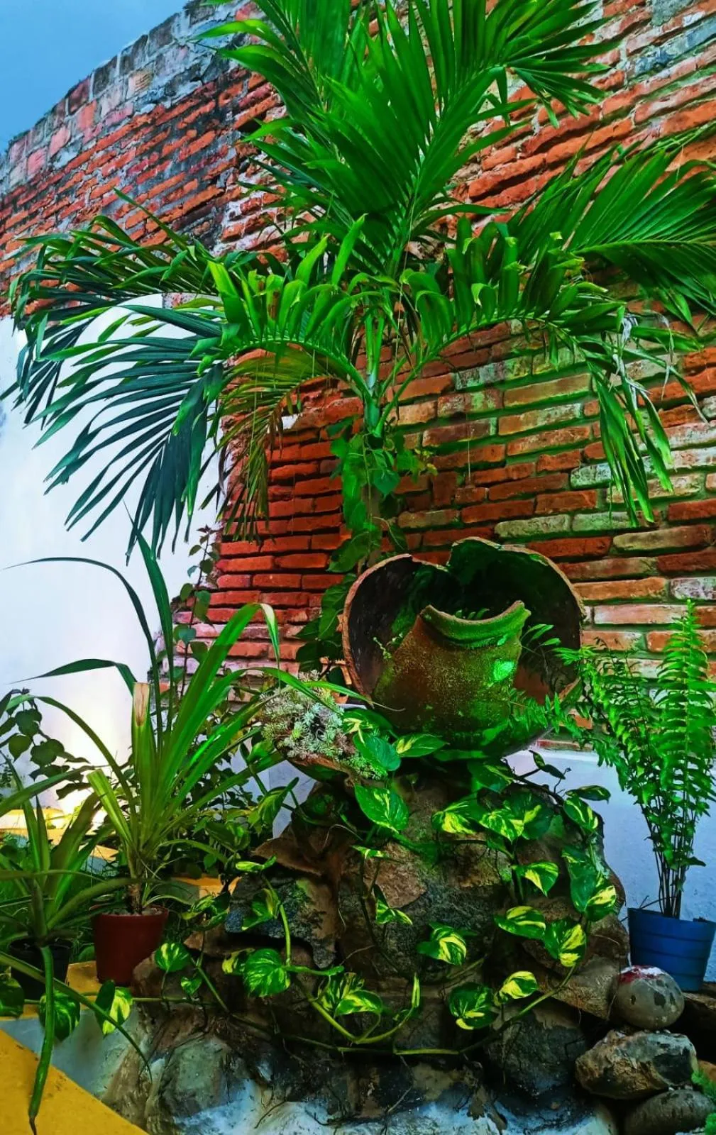 Garden in Albarrada Hotel Boutique