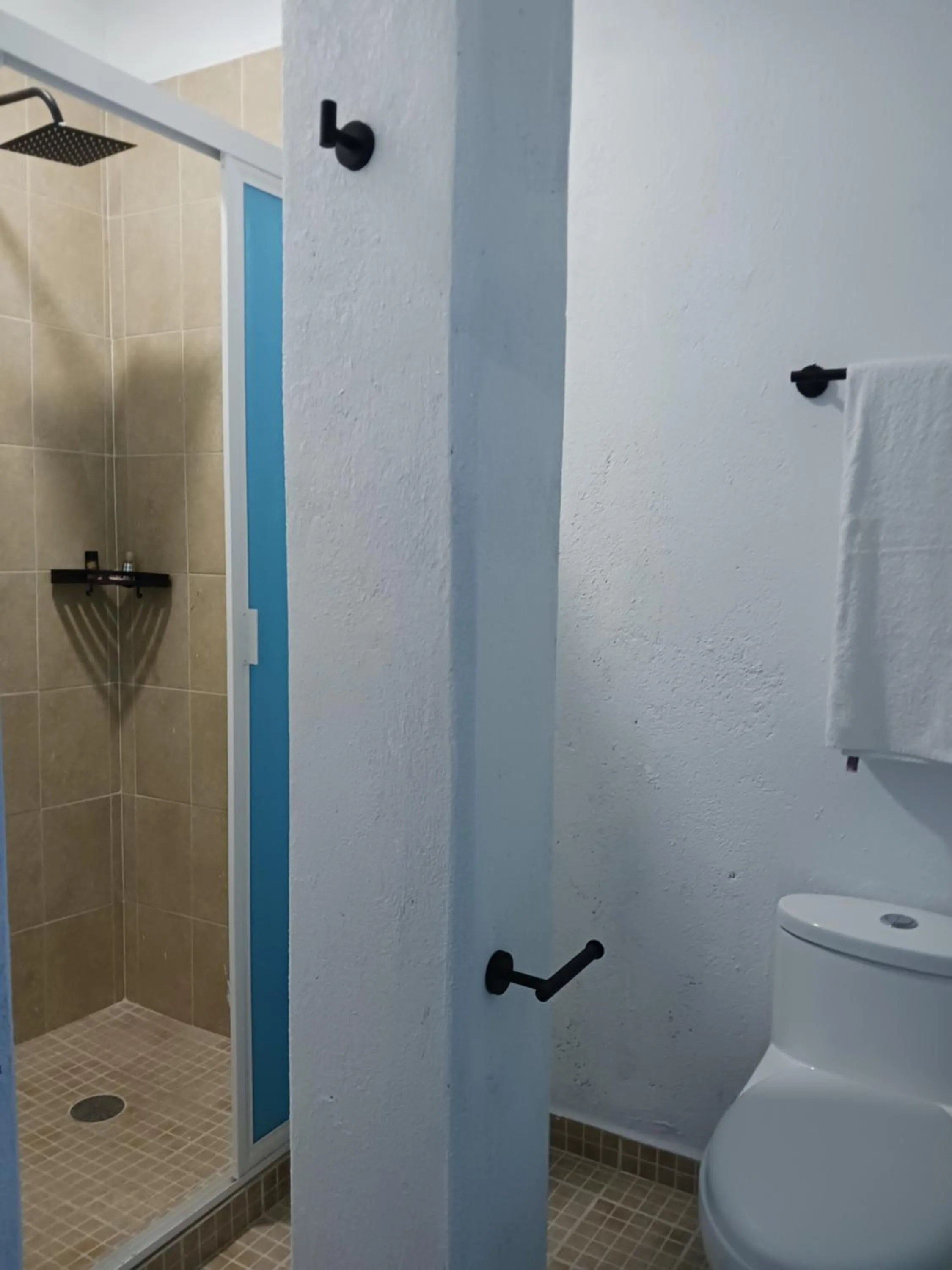 LA CASA AZUL DE SAMARA