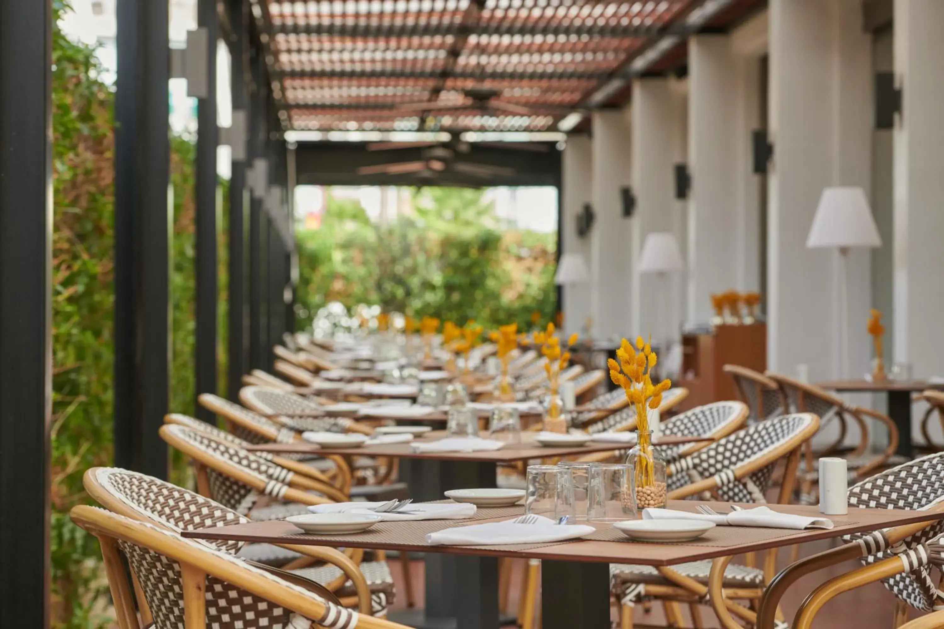 Restaurant/places to eat in Protur Sa Coma Playa Hotel & Spa Restaurant/places to eat in Protur Sa Coma Playa Hotel & Spa