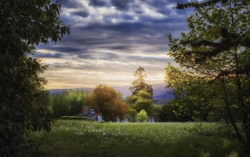 Nearby landmark in Posada The Gringos