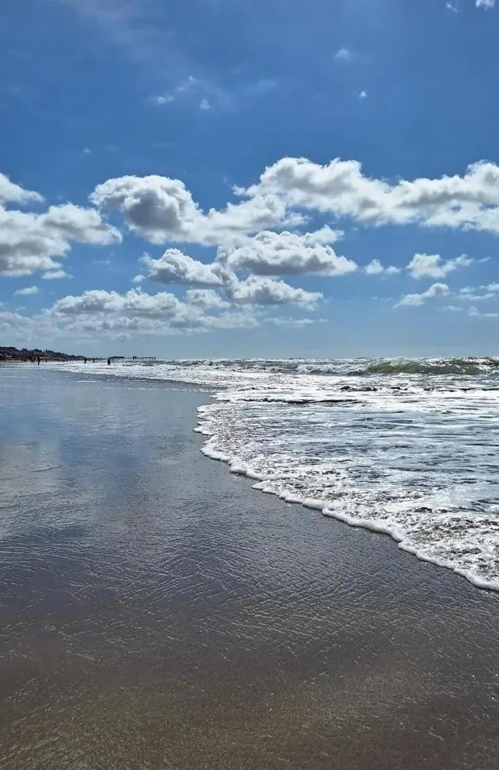 Beach in Hostal del Sur