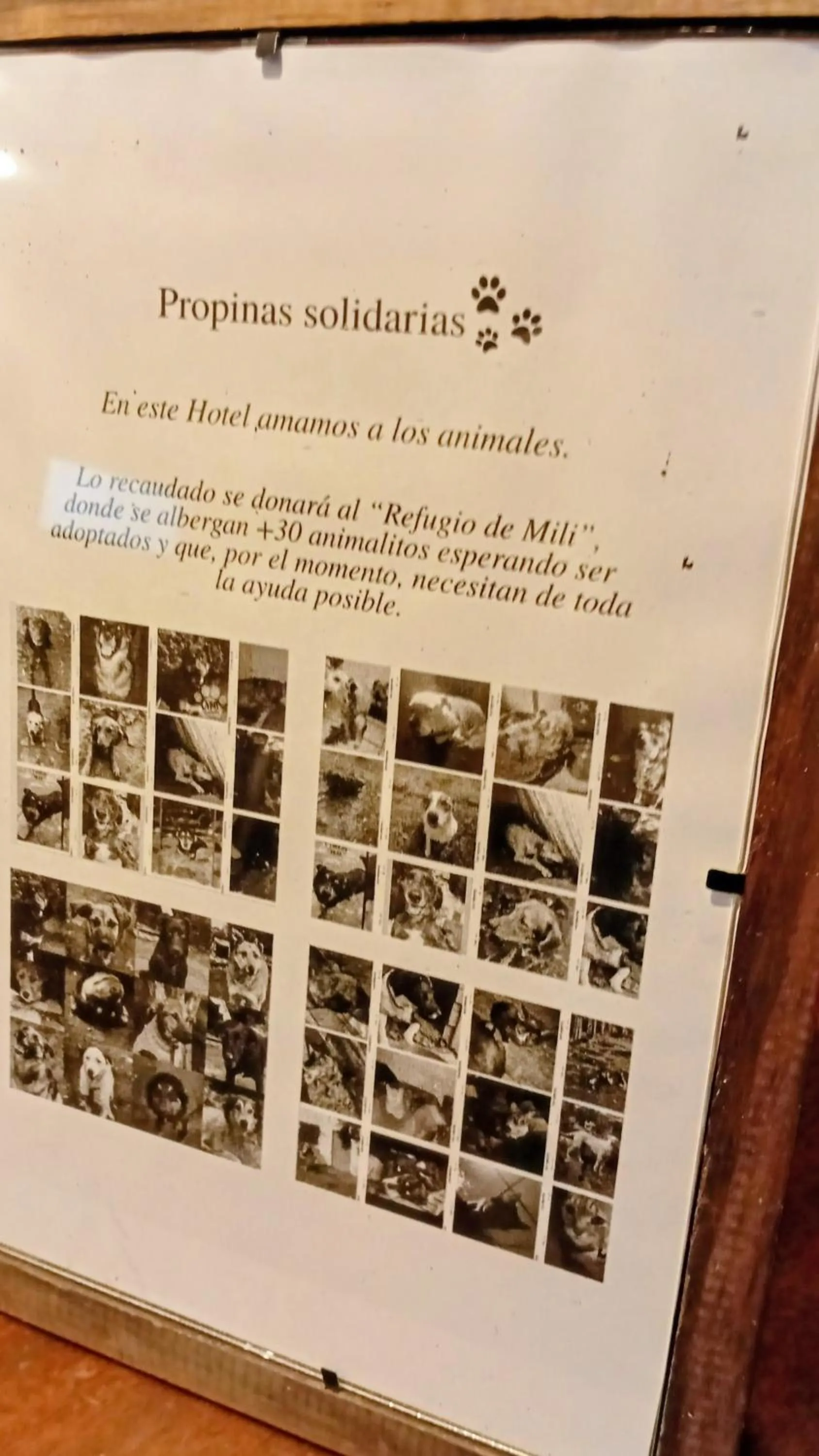 Text overlay in Hostal del Sur