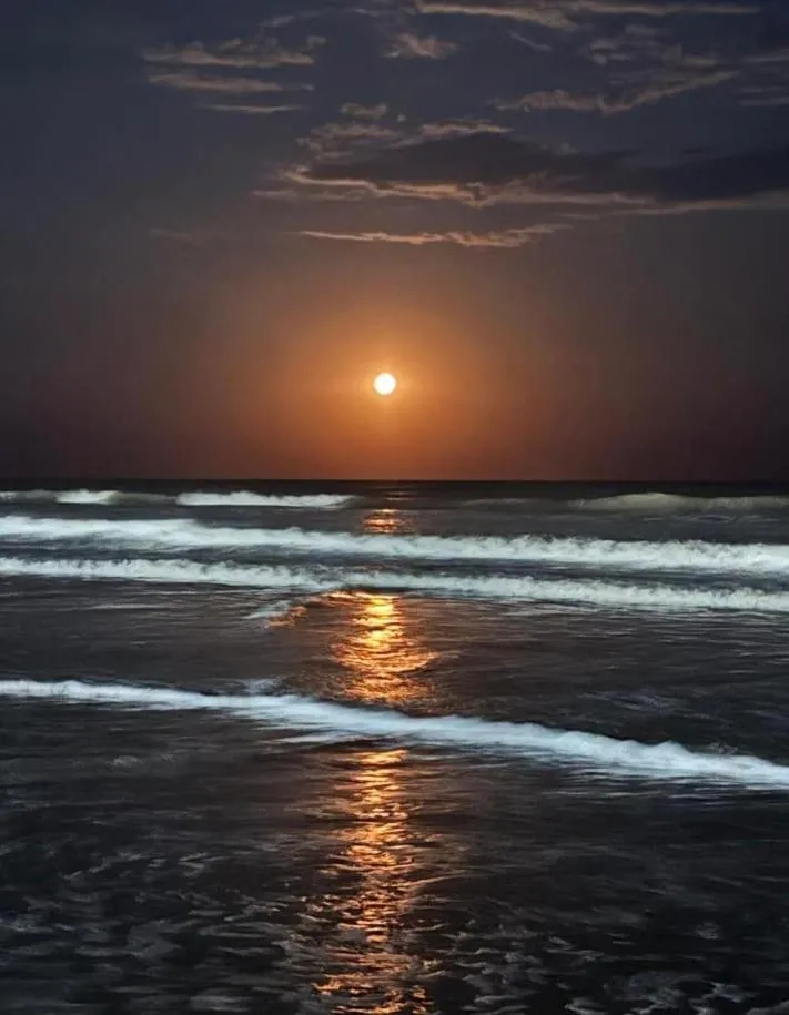 Beach in Hostal del Sur