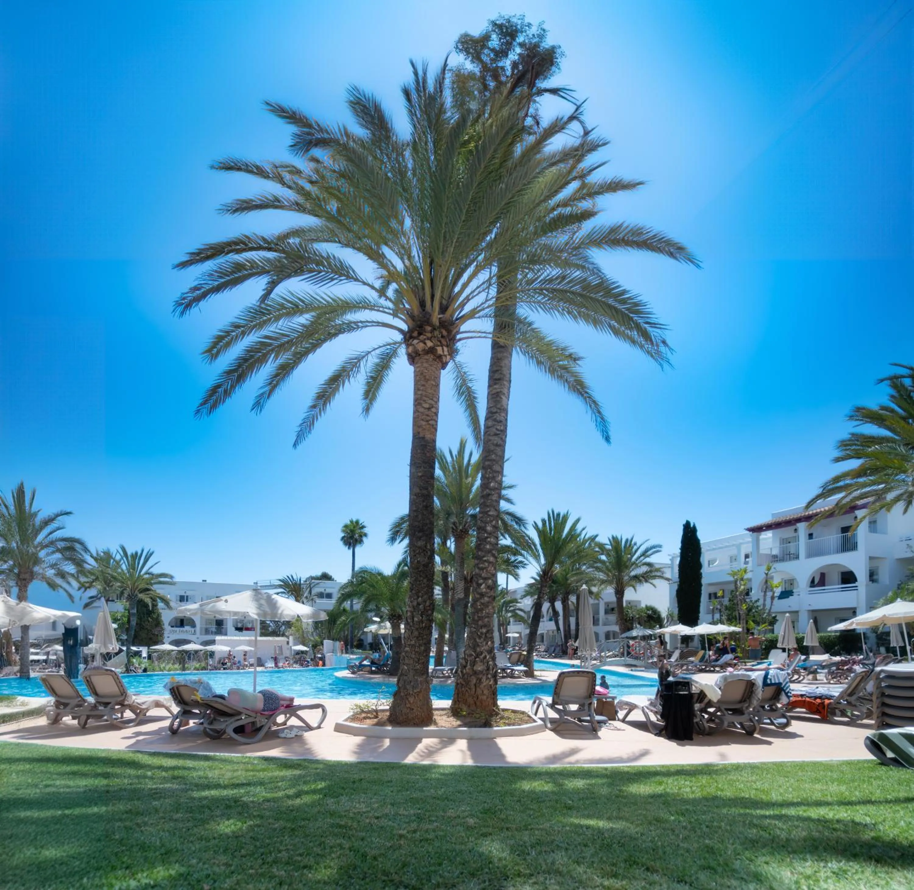 Swimming pool in Hotel Calimera Fido Gardens