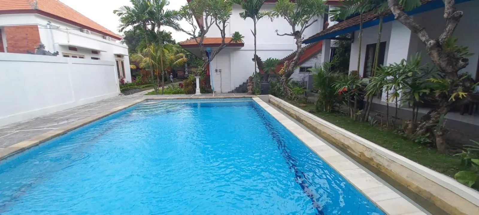 Pool view in Hotel My New Lovina