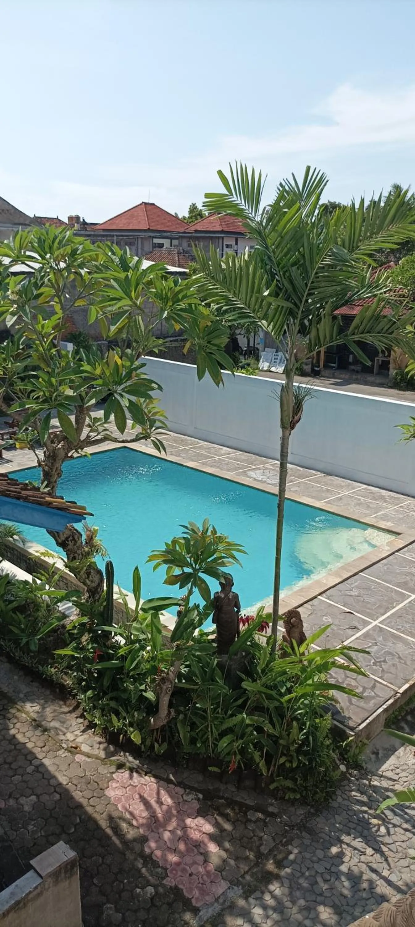 Pool view in Hotel My New Lovina