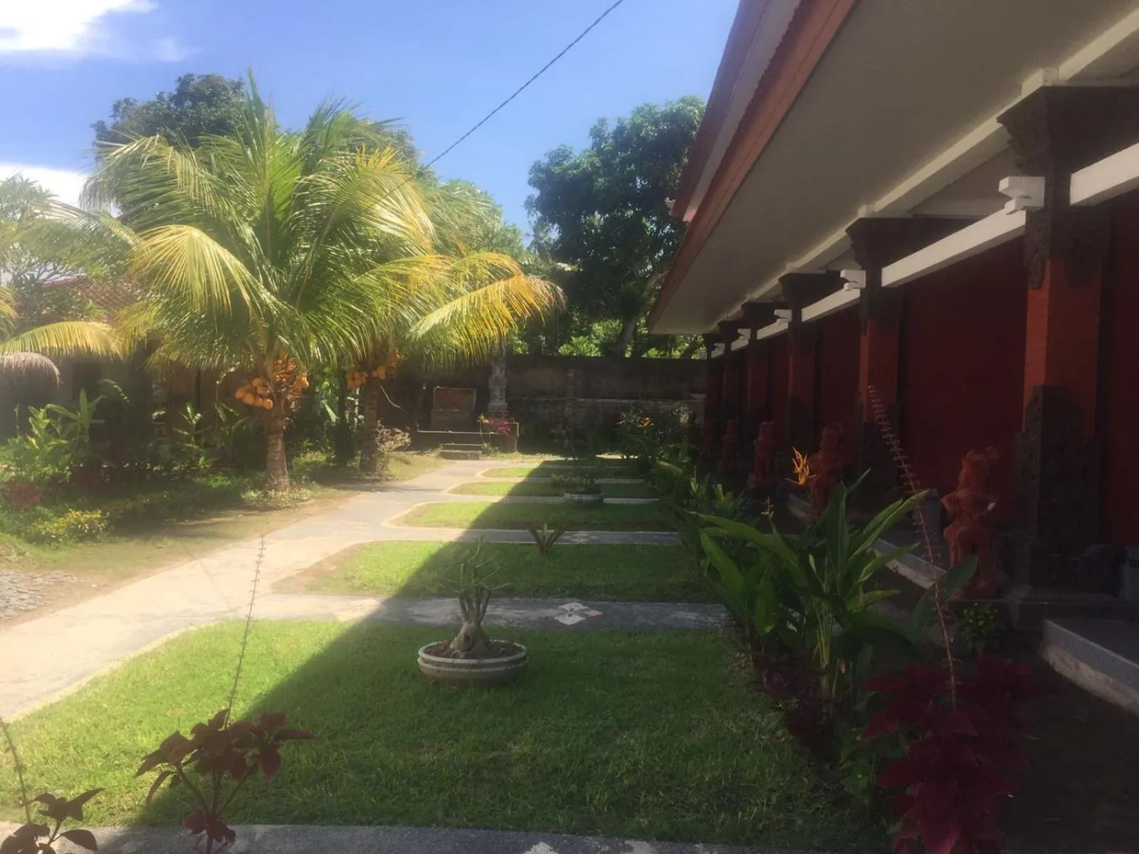 Garden in Hotel My New Lovina