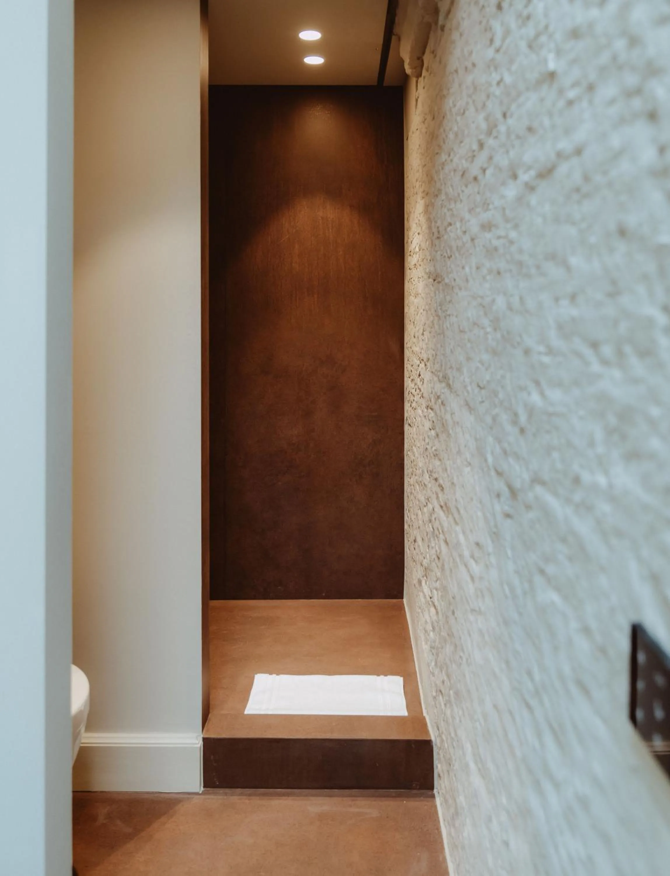 Shower in Cobergher Hotel
