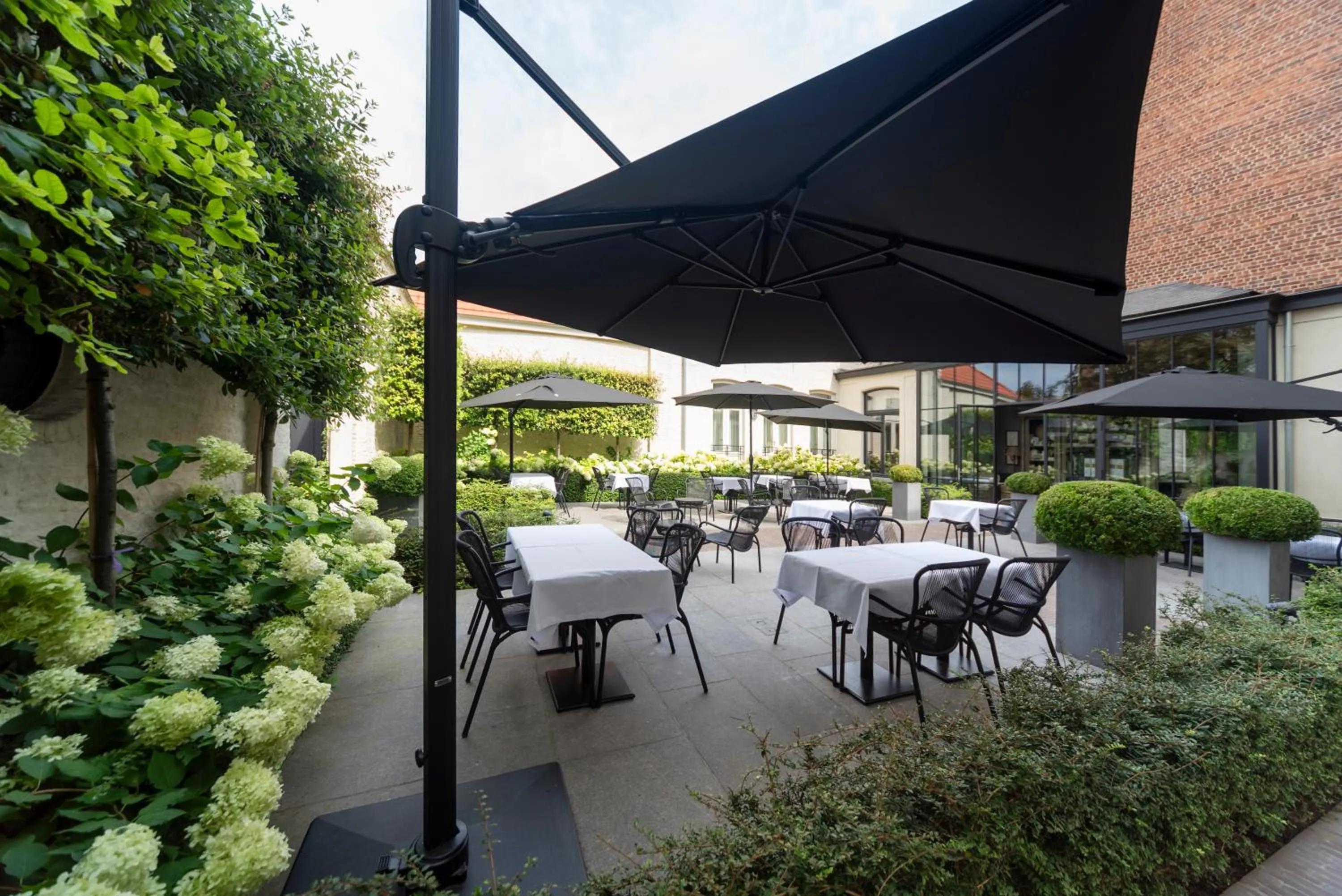 Restaurant/places to eat in Cobergher Hotel