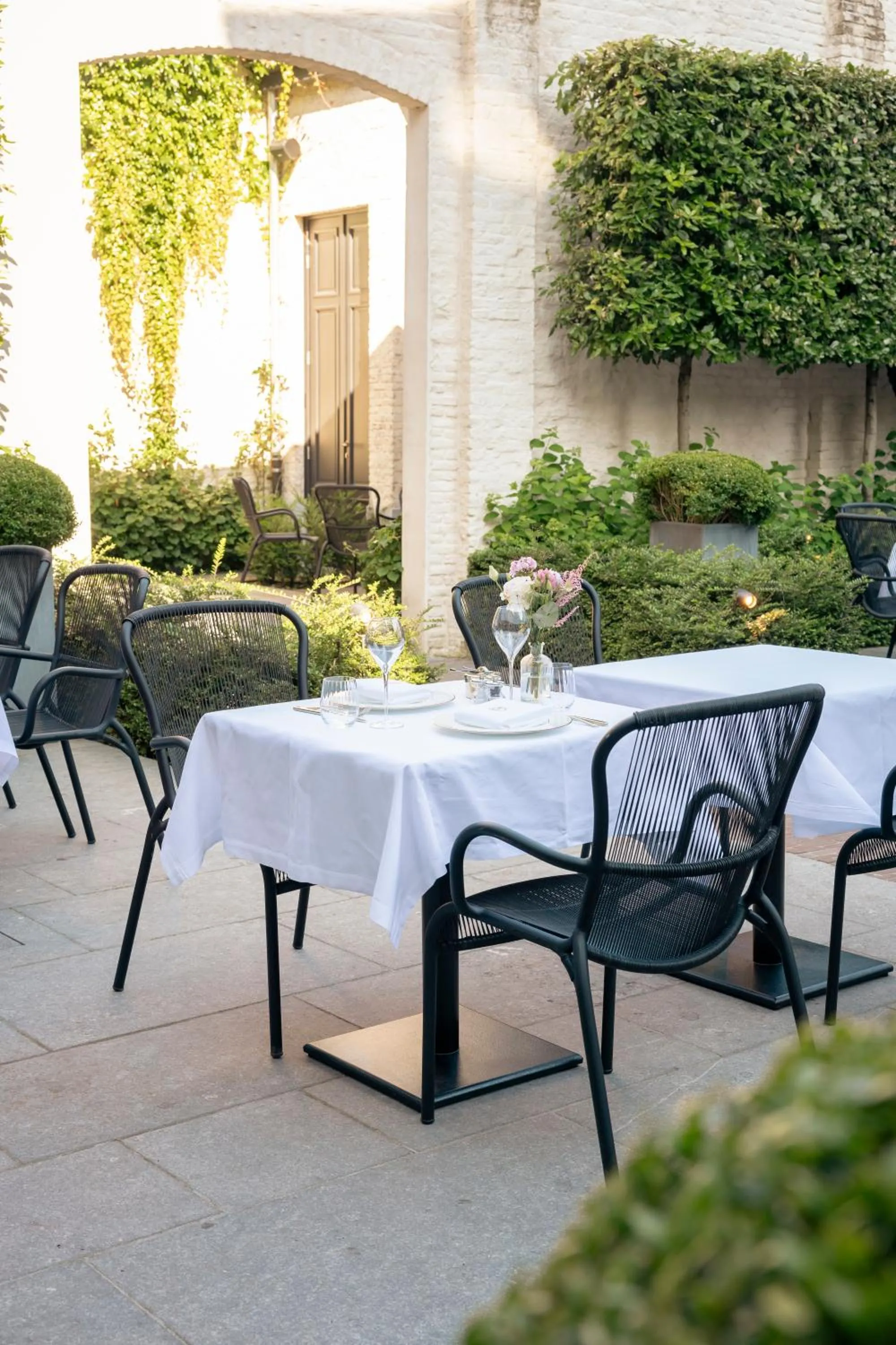 Garden in Cobergher Hotel