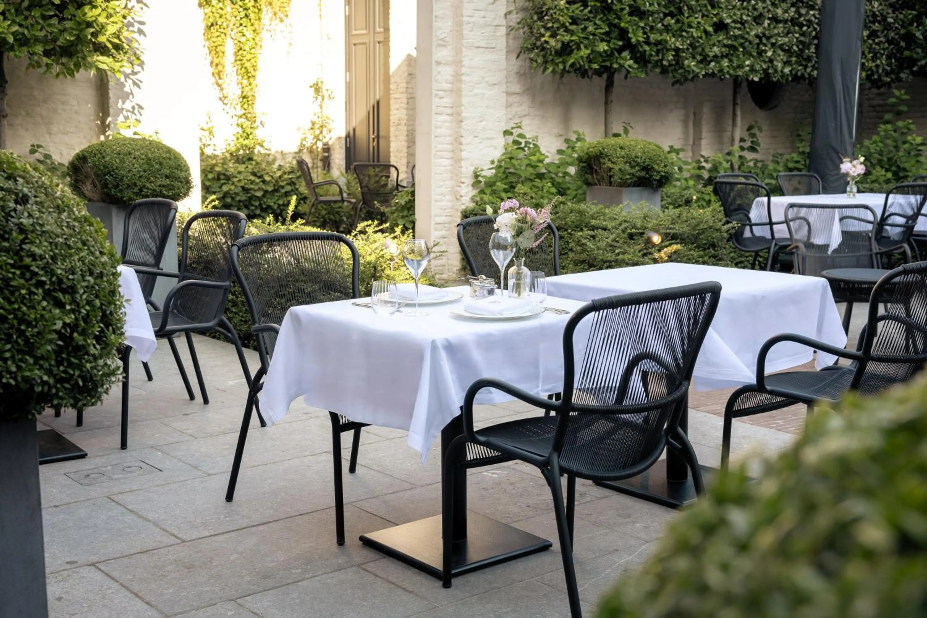 Garden in Cobergher Hotel