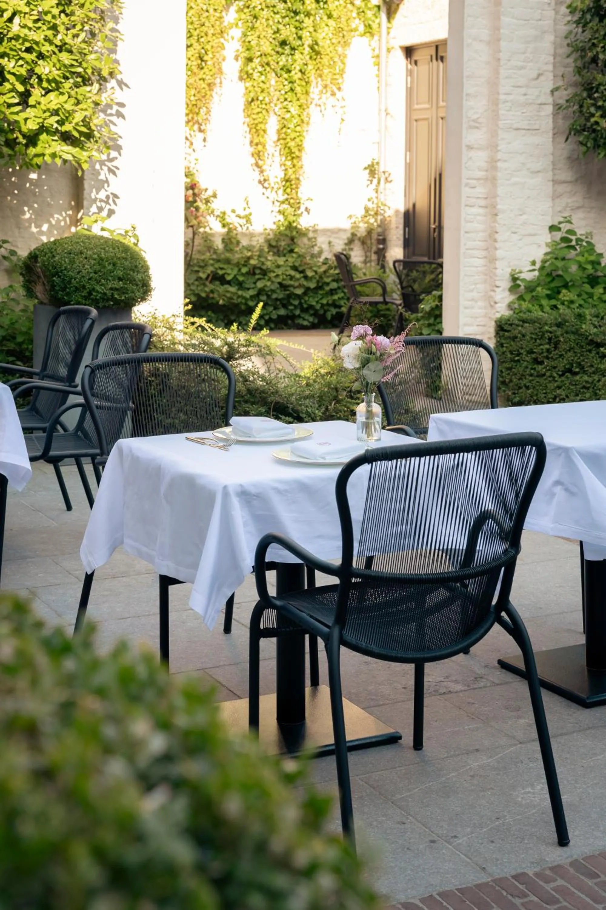 Garden in Cobergher Hotel