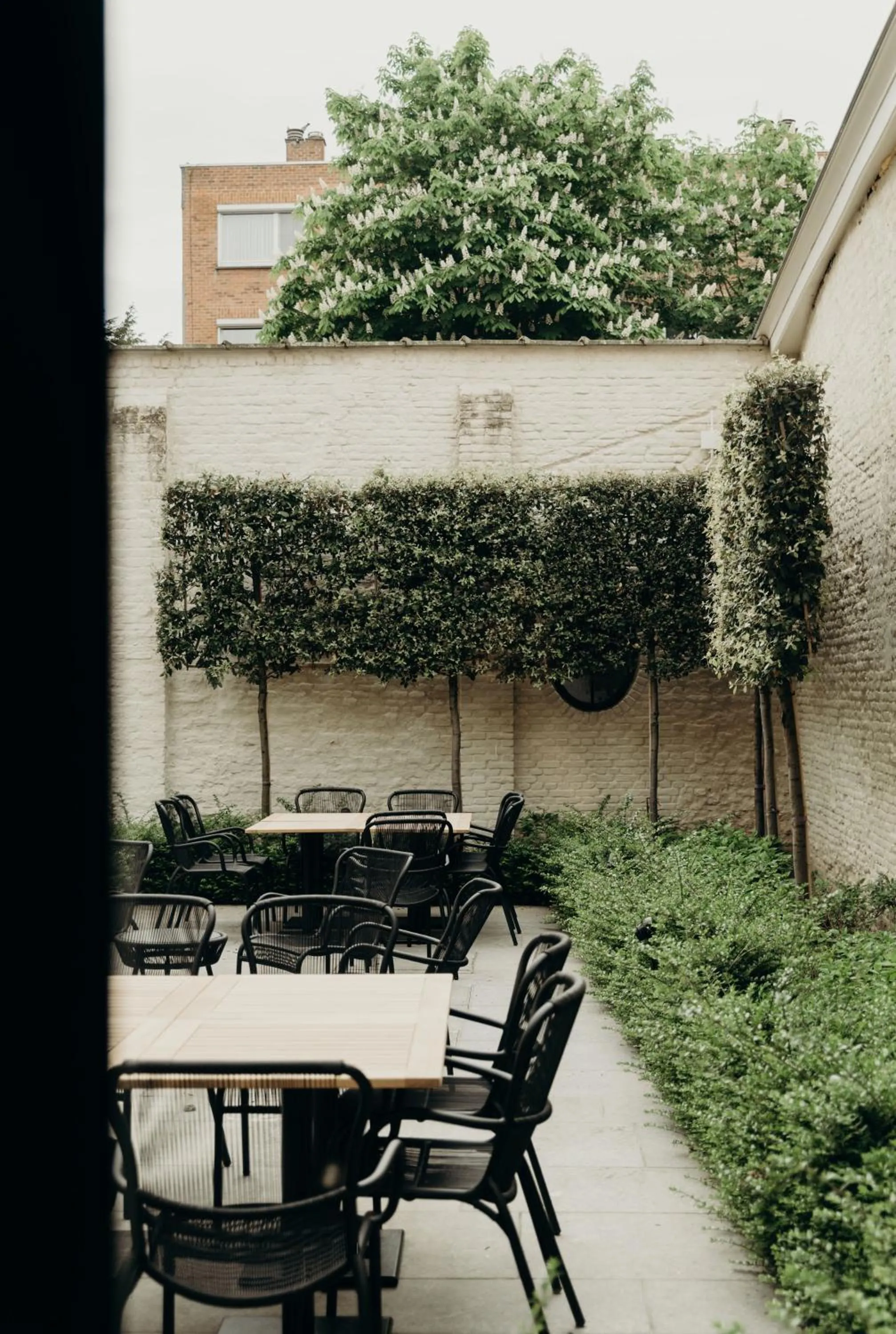 Garden in Cobergher Hotel