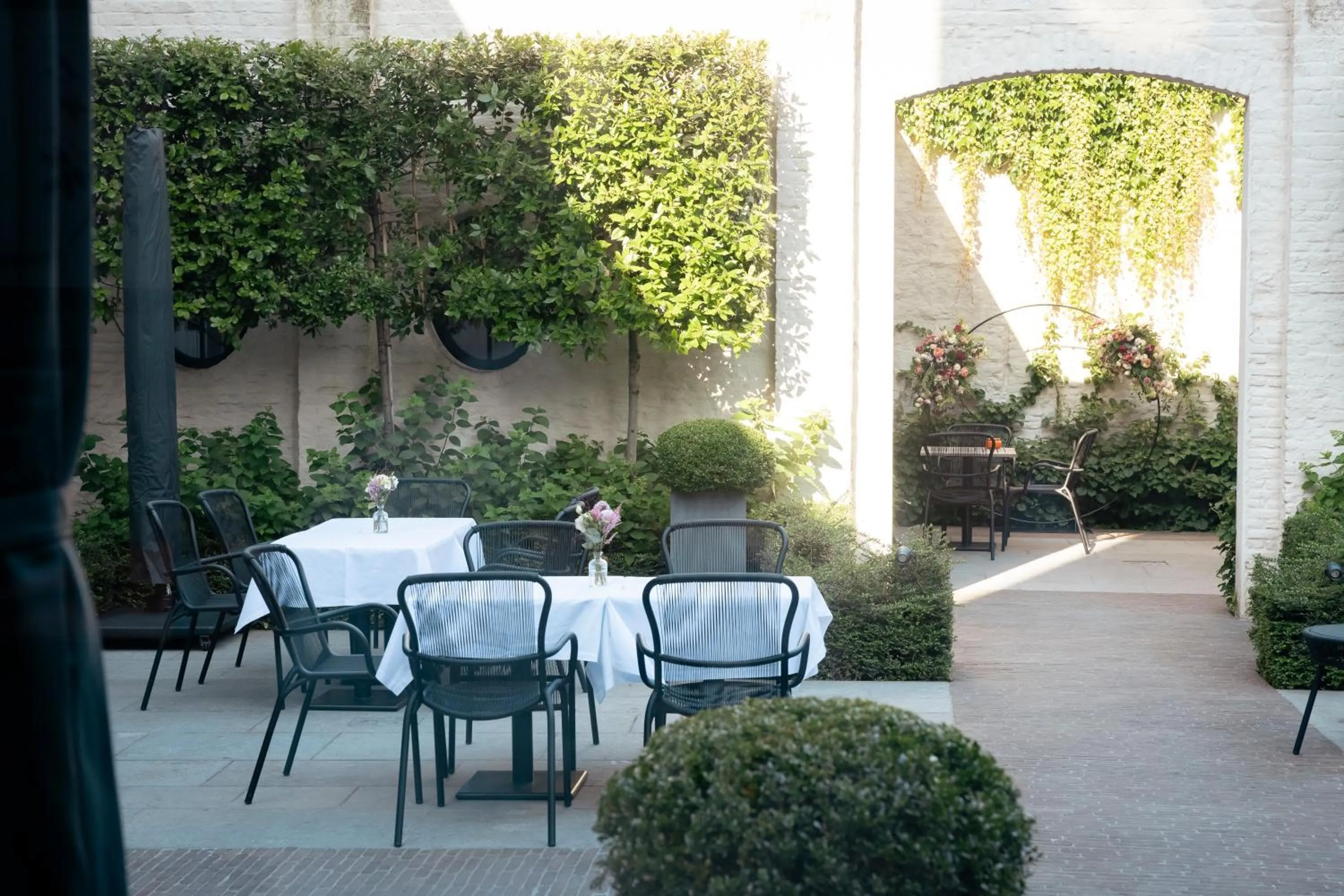Garden in Cobergher Hotel