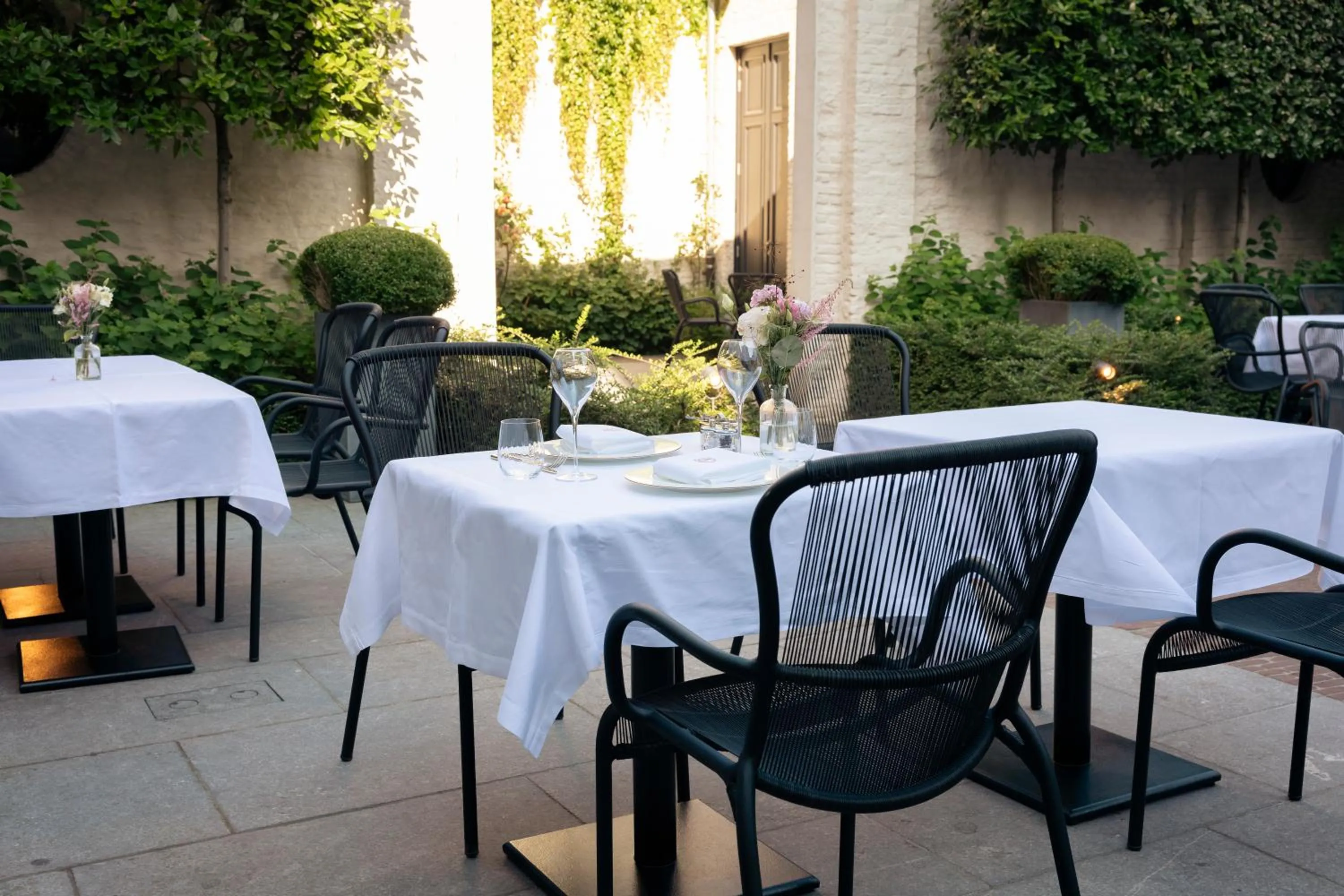 Garden in Cobergher Hotel